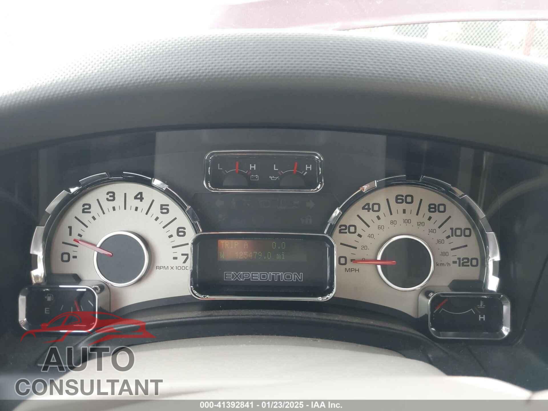 FORD EXPEDITION 2010 - 1FMJU2A51AEB71113