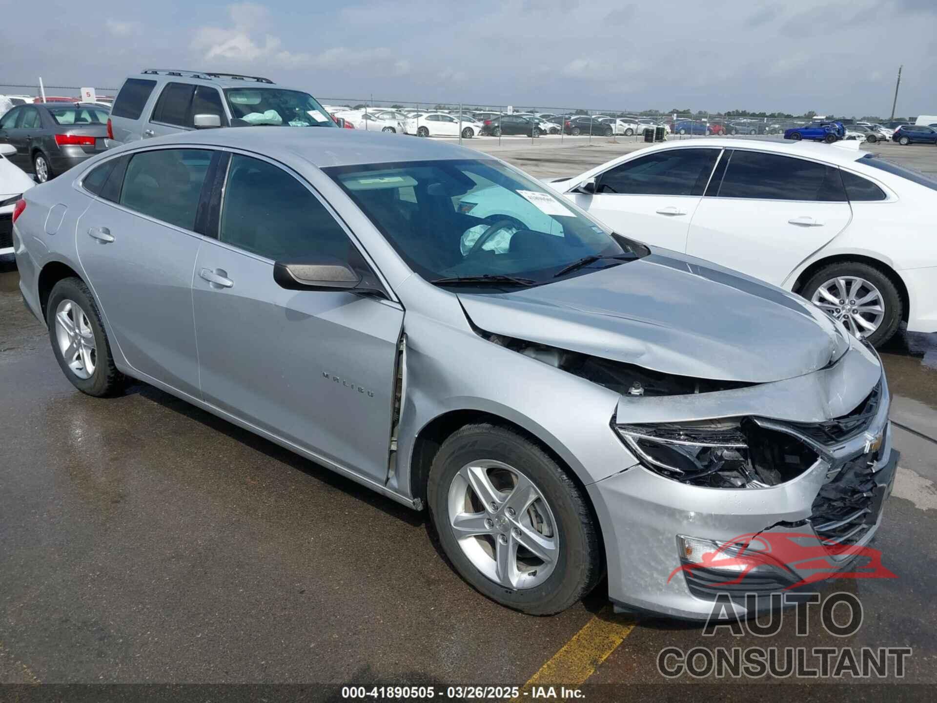 CHEVROLET MALIBU 2019 - 1G1ZC5ST7KF185207