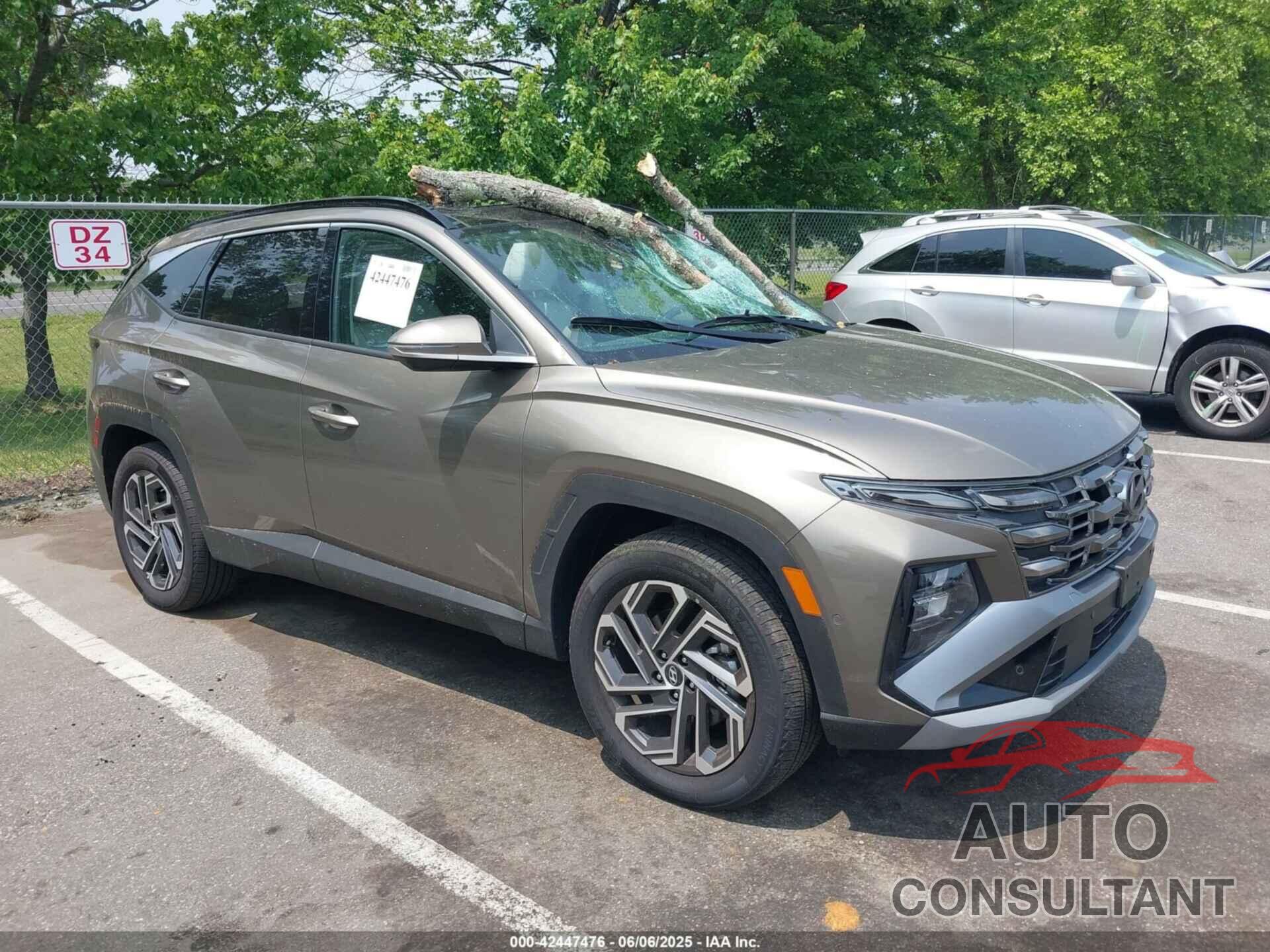 HYUNDAI TUCSON HYBRID 2025 - KM8JEDD15SU257663
