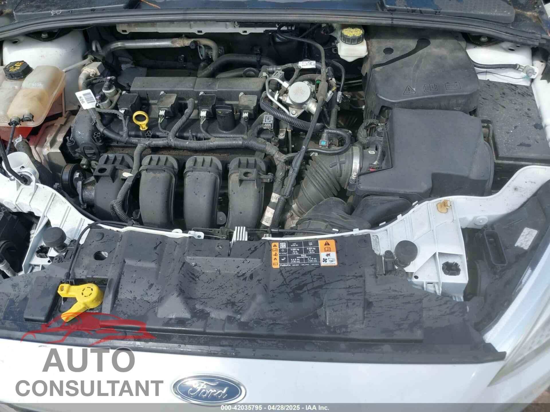 FORD FOCUS 2017 - 1FADP3E21HL201625