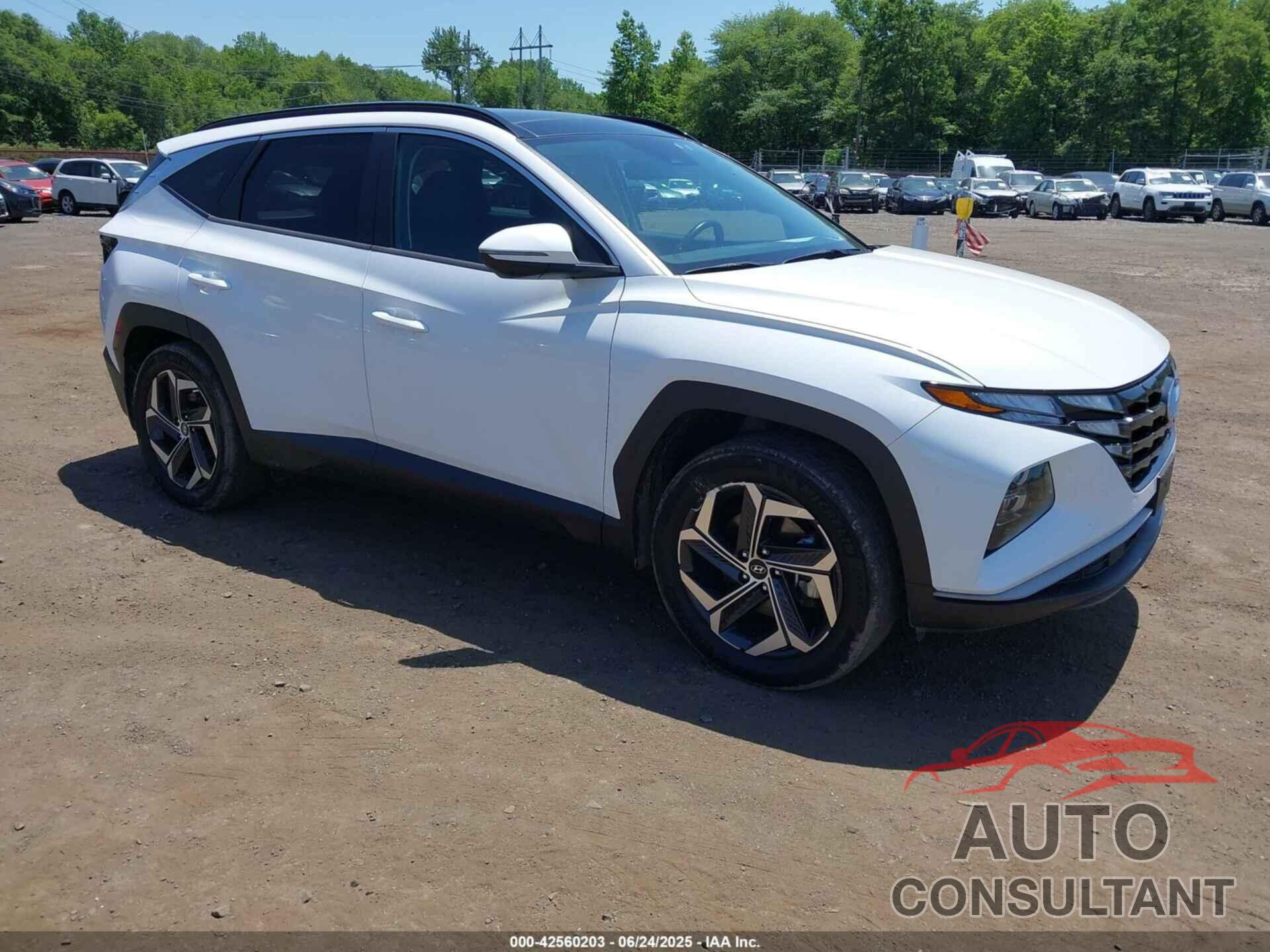HYUNDAI TUCSON HYBRID 2022 - KM8JFCA10NU043096