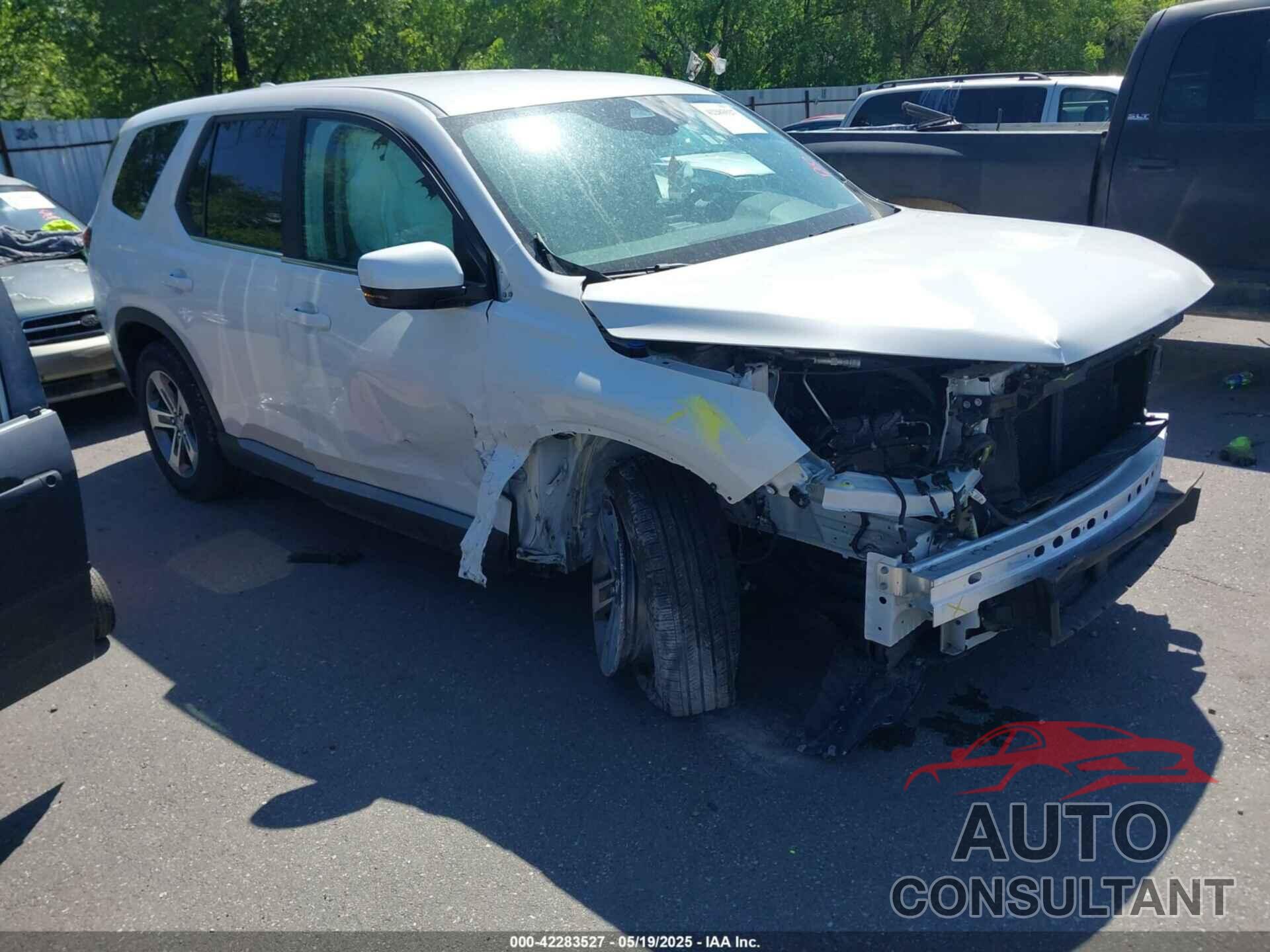 HONDA PILOT 2024 - 5FNYG1H46RB014463