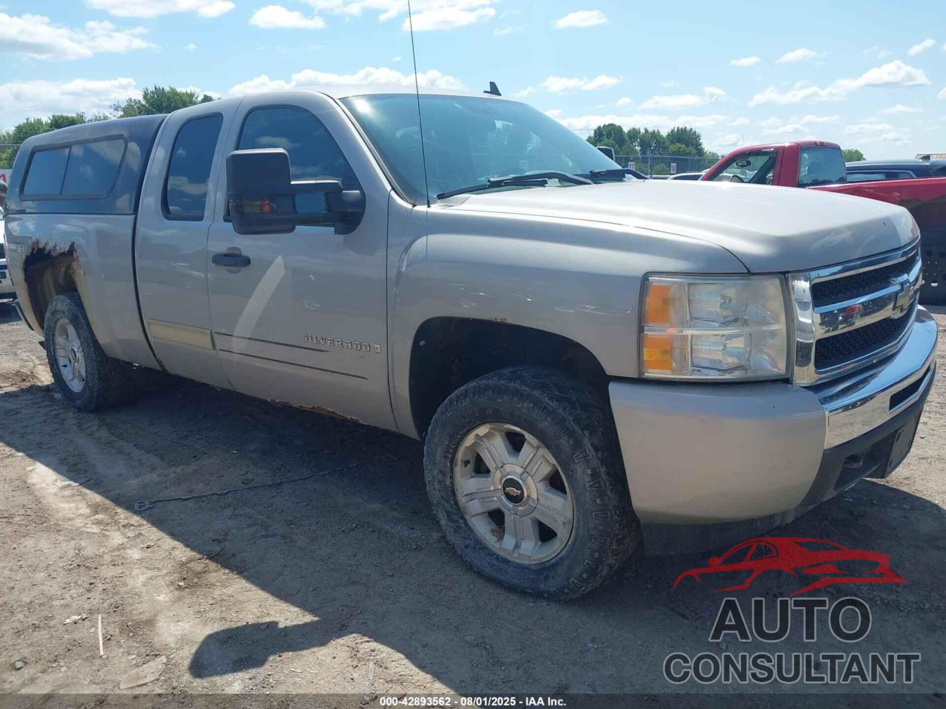 CHEVROLET SILVERADO 1500 2009 - 1GCEK29J89Z176326