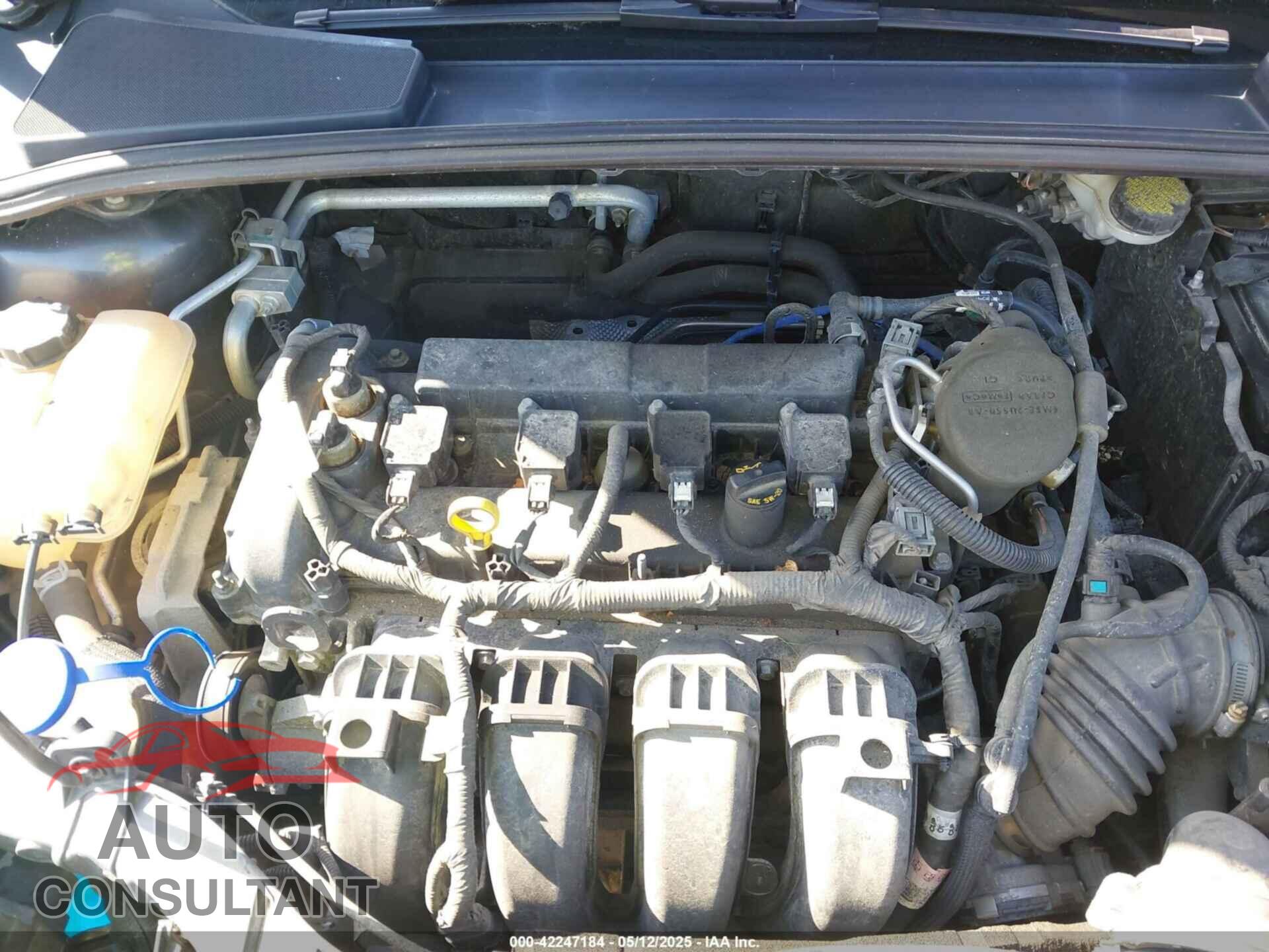 FORD FOCUS 2016 - 1FADP3F23GL252346