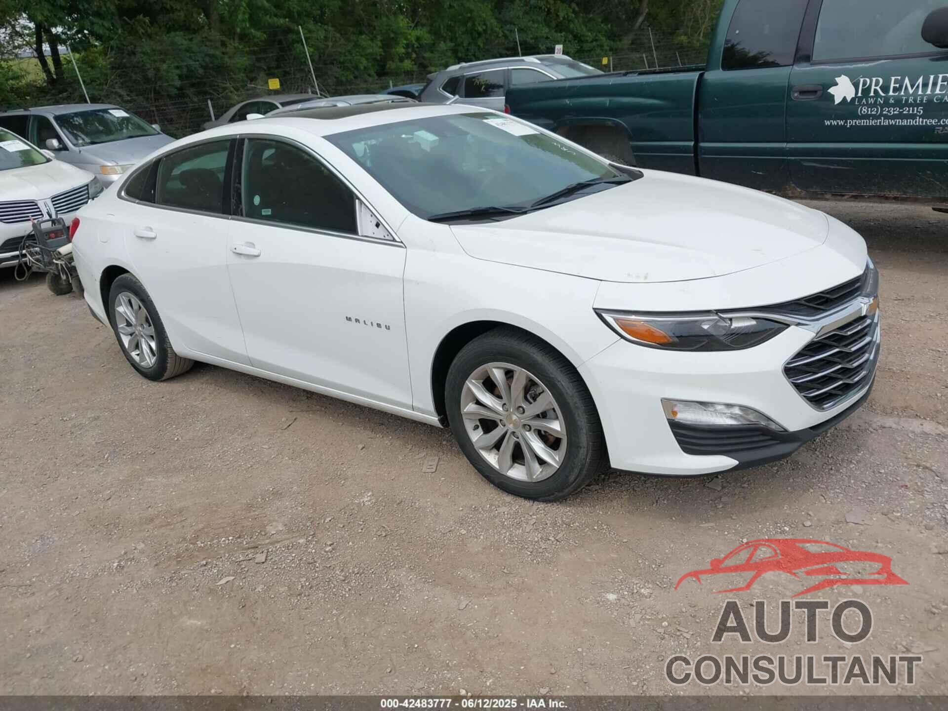 CHEVROLET MALIBU 2024 - 1G1ZD5ST5RF161124
