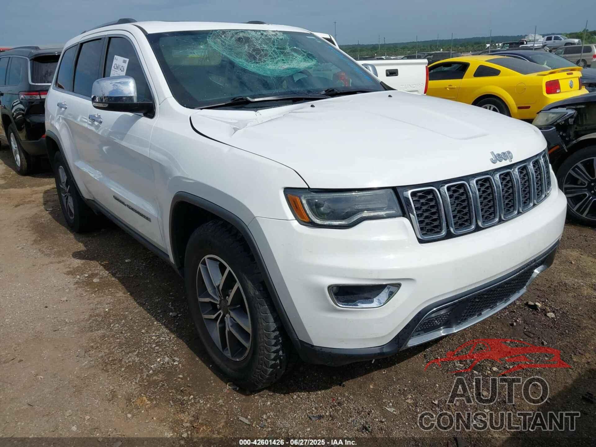 JEEP GRAND CHEROKEE 2019 - 1C4RJEBG4KC788889