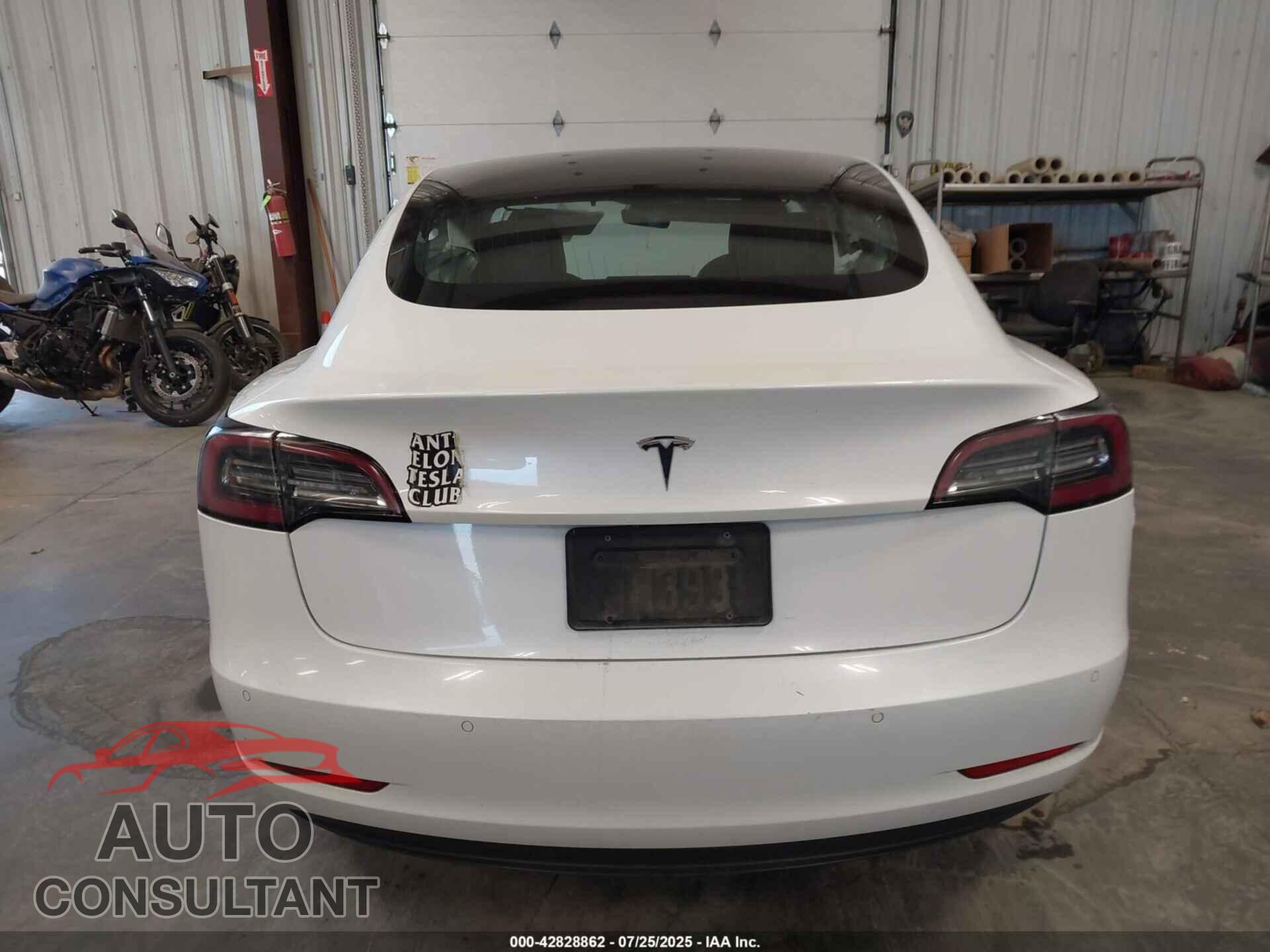 TESLA MODEL 3 2019 - 5YJ3E1EA6KF466784