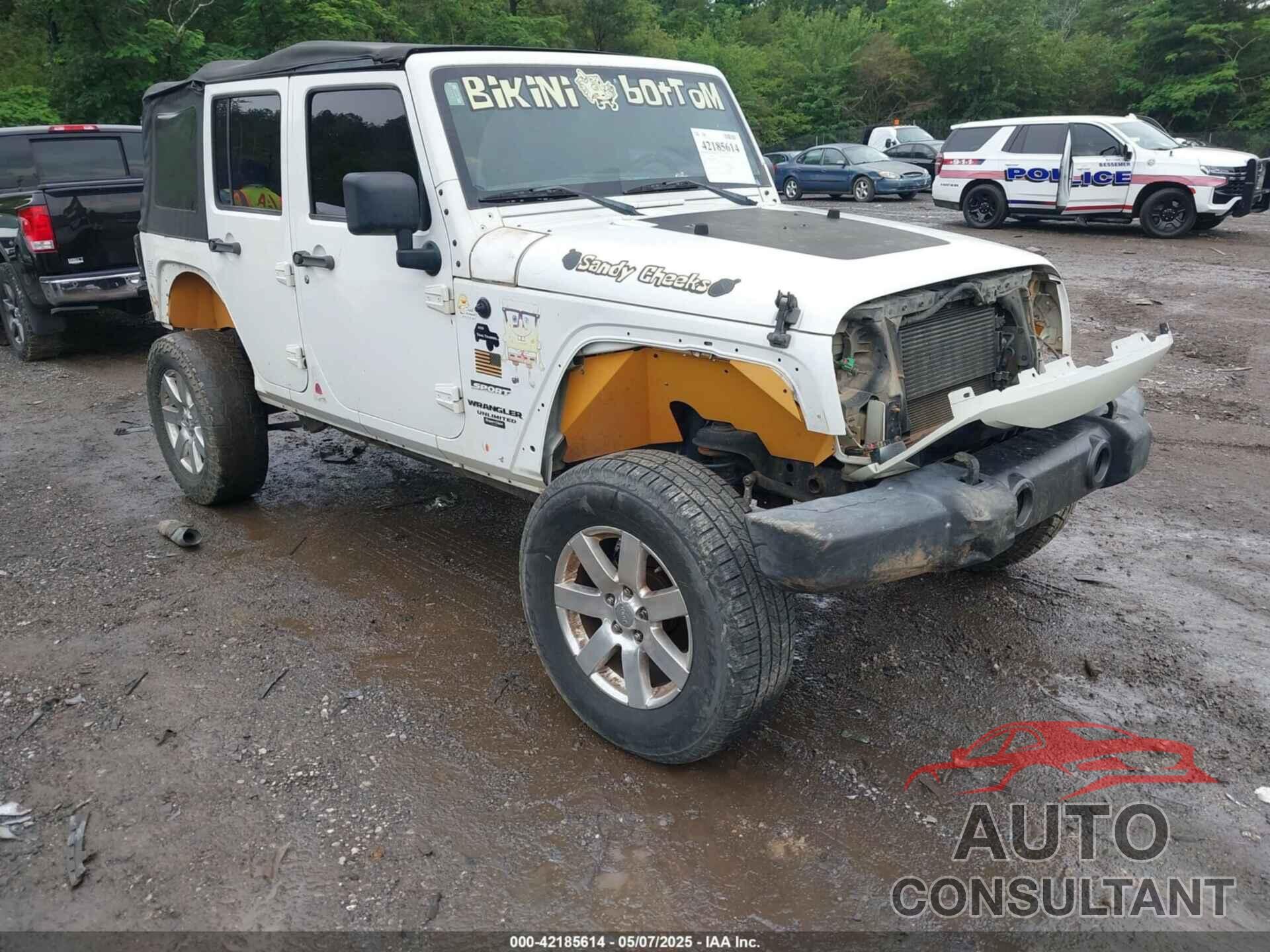 JEEP WRANGLER UNLIMITED 2013 - 1C4BJWDG9DL699472