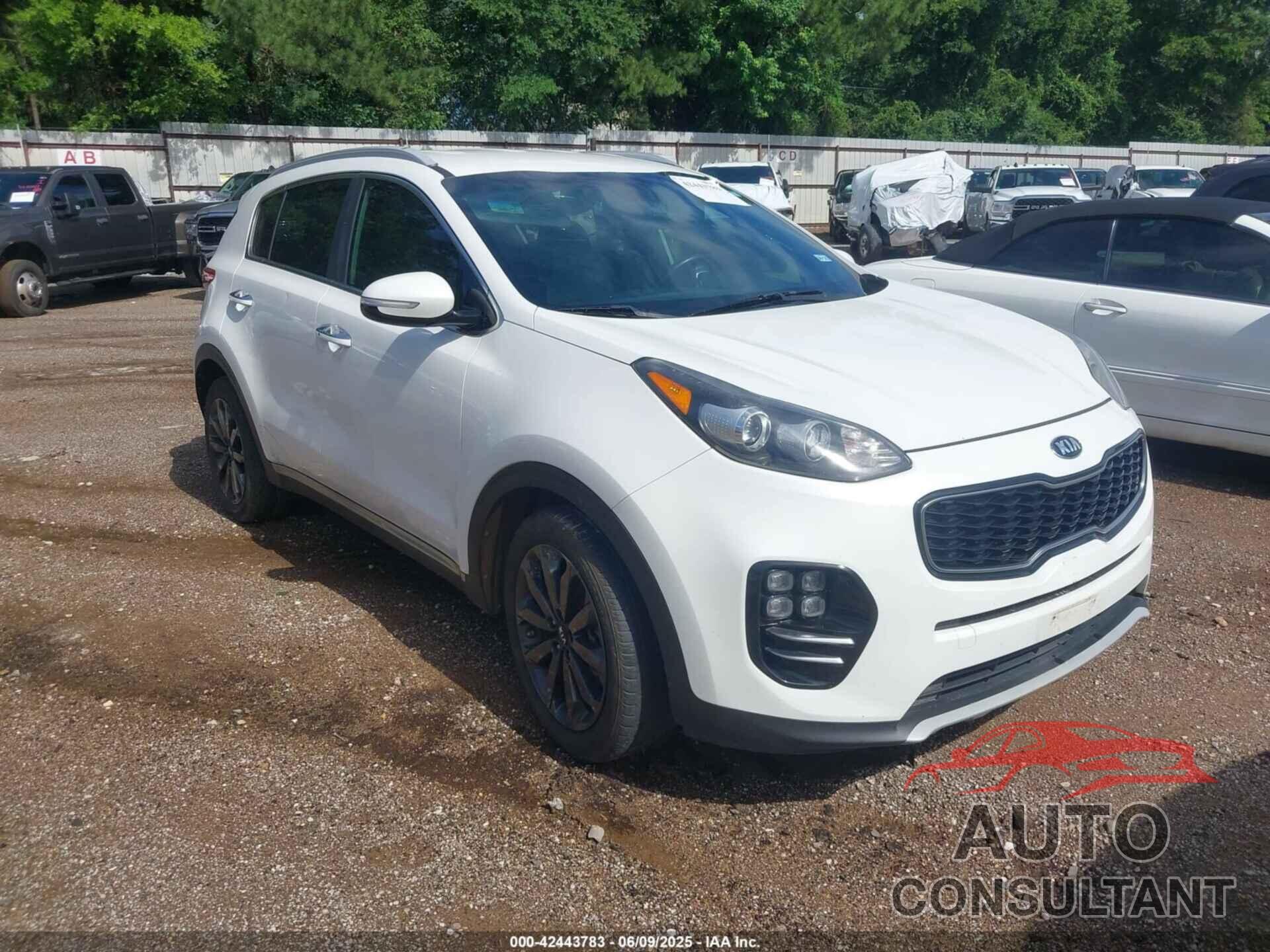 KIA SPORTAGE 2018 - KNDPN3AC4J7442976