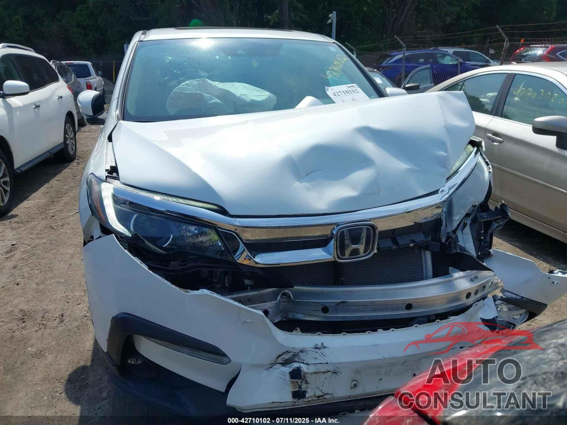 HONDA PILOT 2020 - 5FNYF6H56LB058513