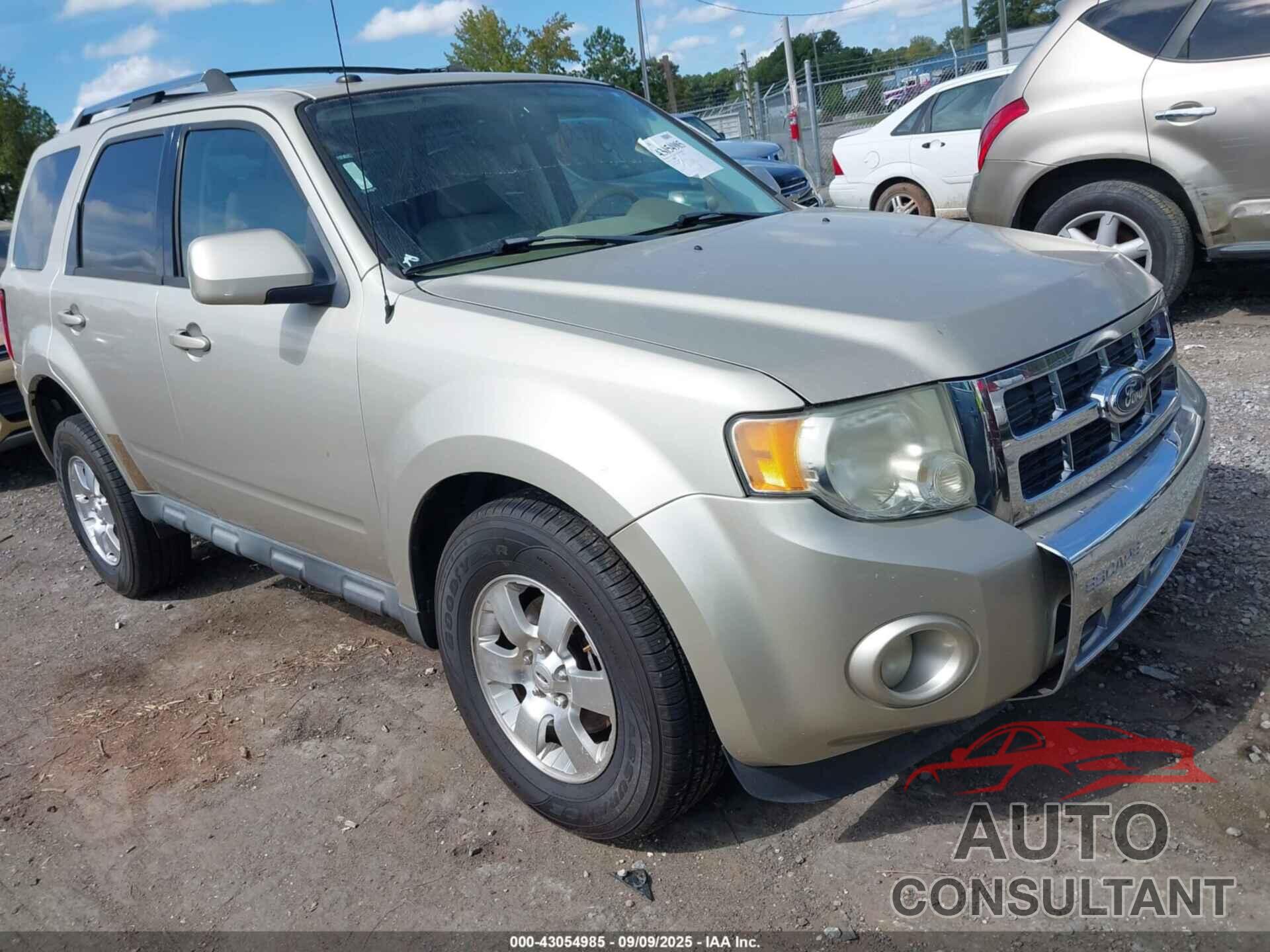 FORD ESCAPE 2011 - 1FMCU9EG2BKC70796