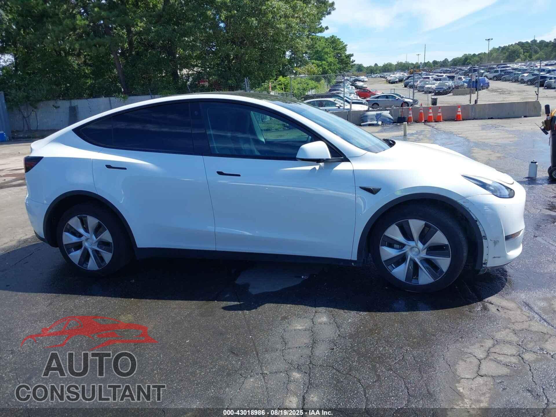 TESLA MODEL Y 2023 - 7SAYGAEE5PF686544
