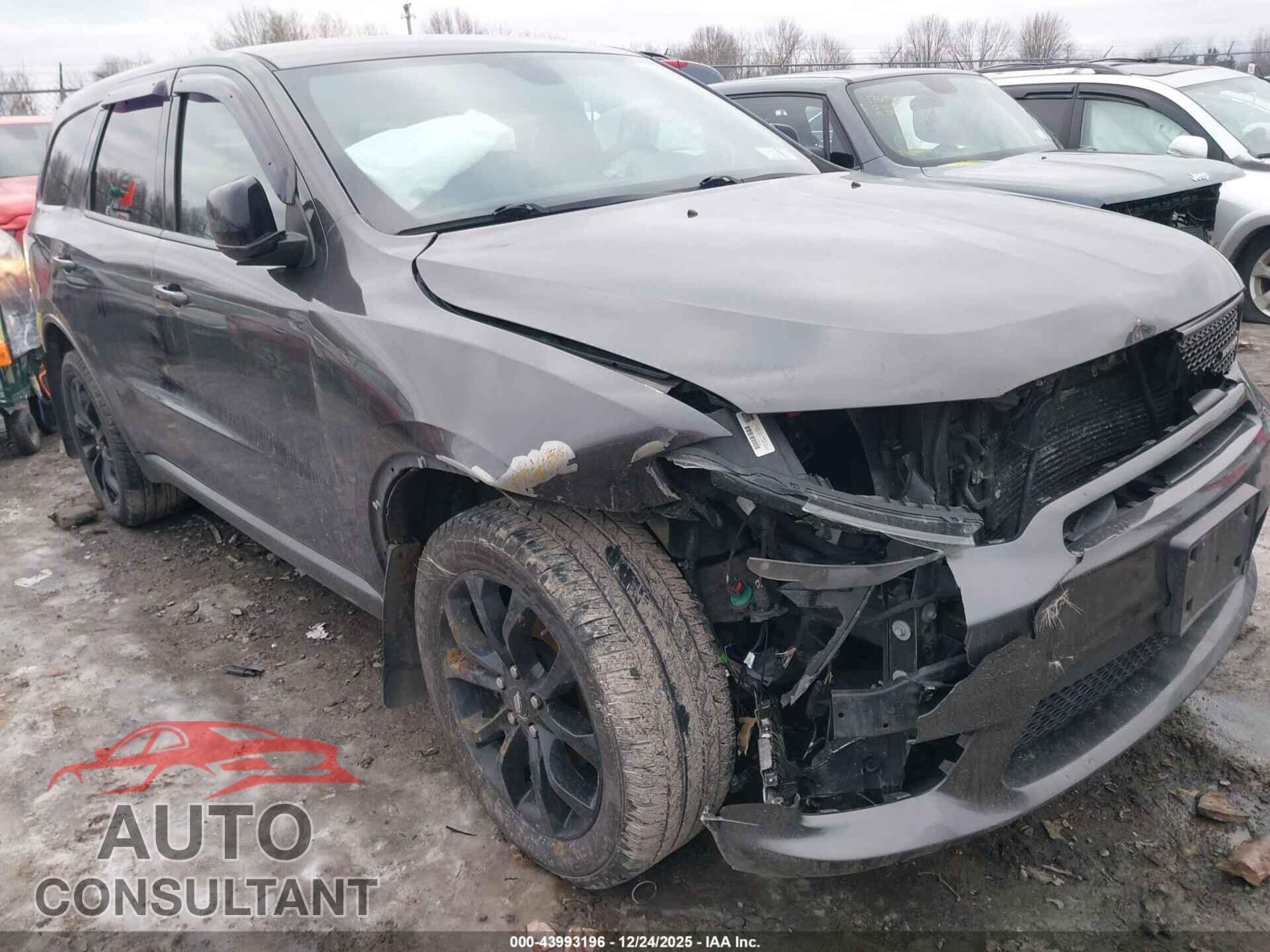 DODGE DURANGO 2019 - 1C4RDJDG7KC771369
