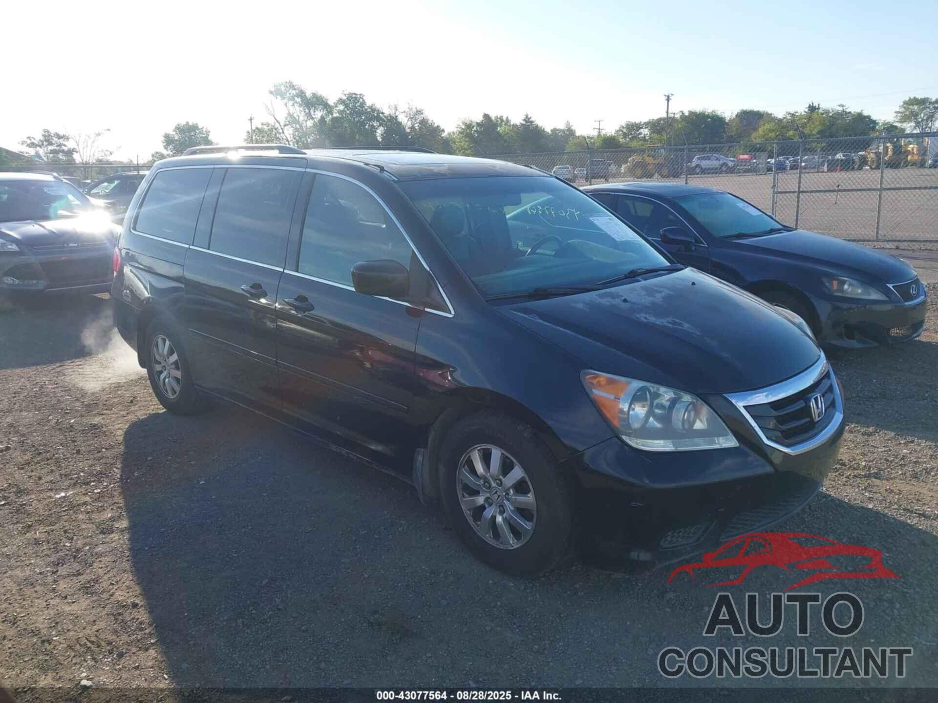 HONDA ODYSSEY 2010 - 5FNRL3H73AB091348