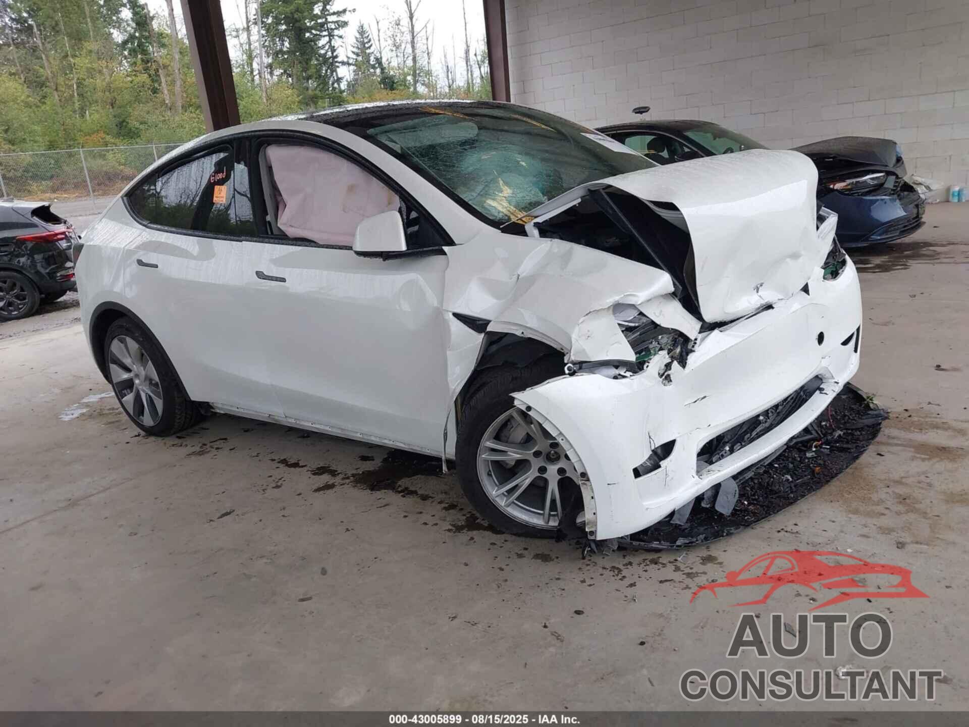 TESLA MODEL Y 2023 - 7SAYGDEE7PF824604