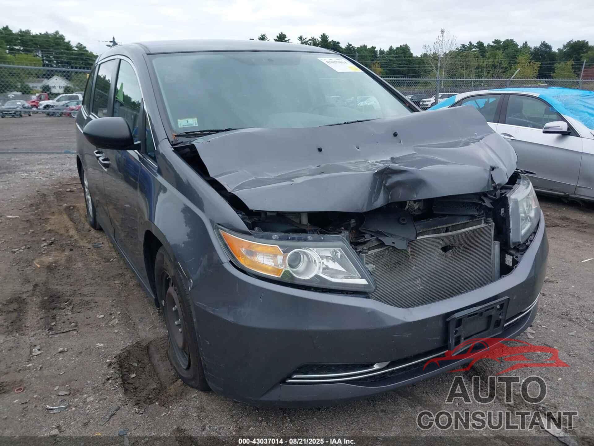HONDA ODYSSEY 2017 - 5FNRL5H26HB020848