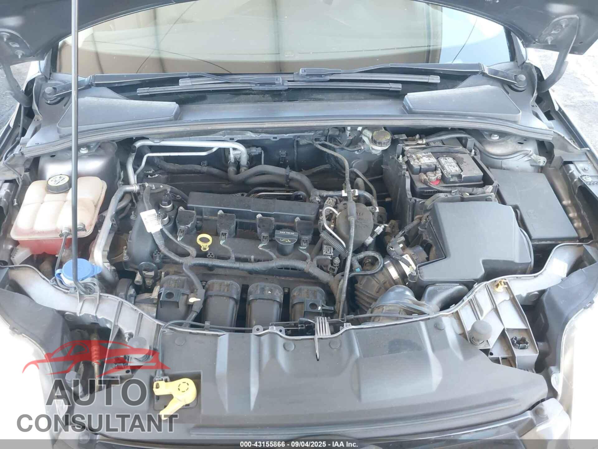 FORD FOCUS 2012 - 1FAHP3H29CL169514