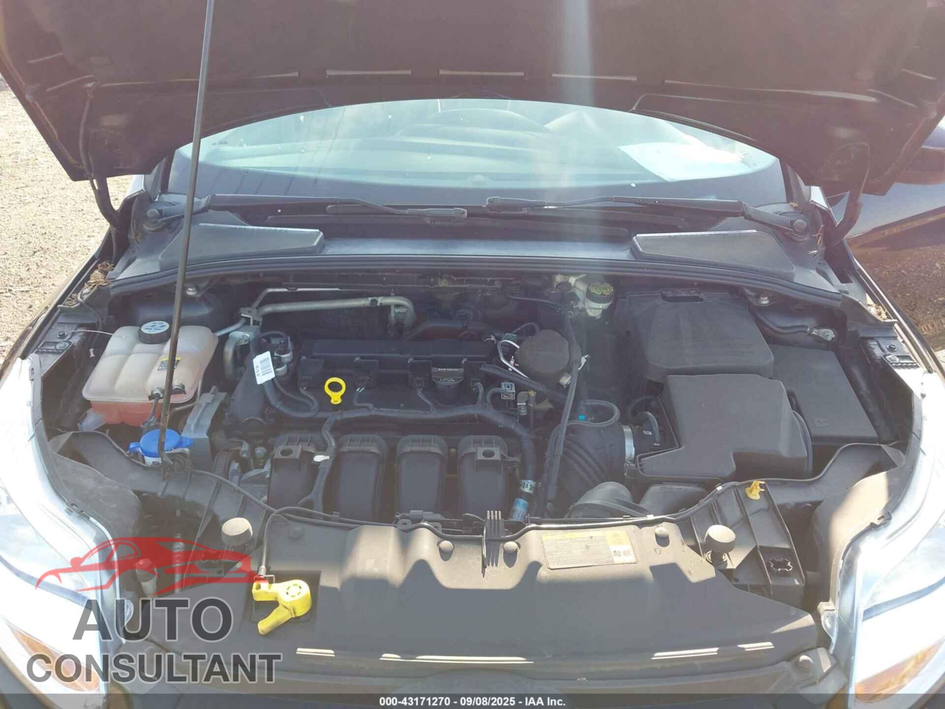 FORD FOCUS 2012 - 1FAHP3F2XCL413366