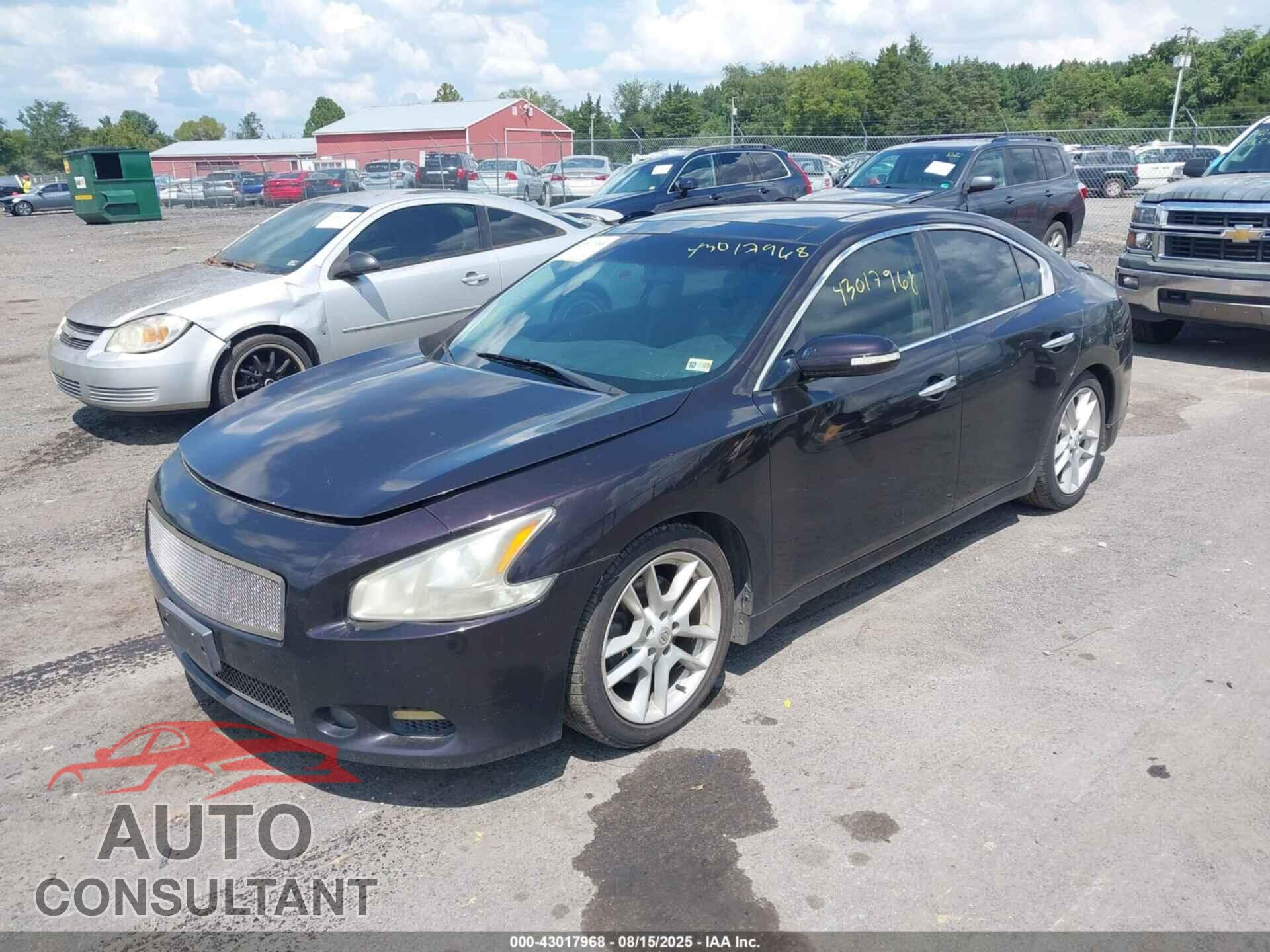 NISSAN MAXIMA 2011 - 1N4AA5AP1BC837843