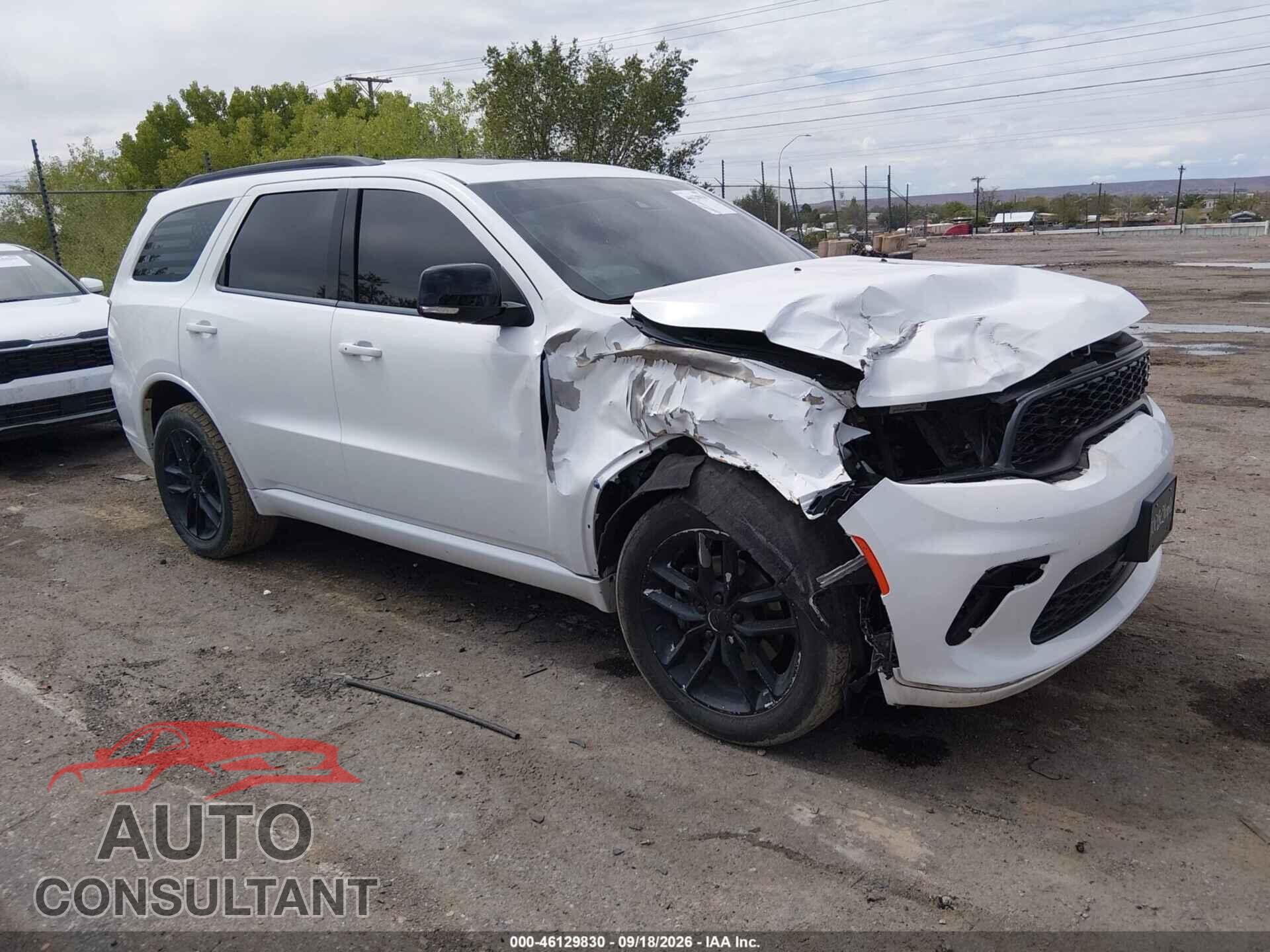 DODGE DURANGO 2023 - 1C4RDJDG9PC573920