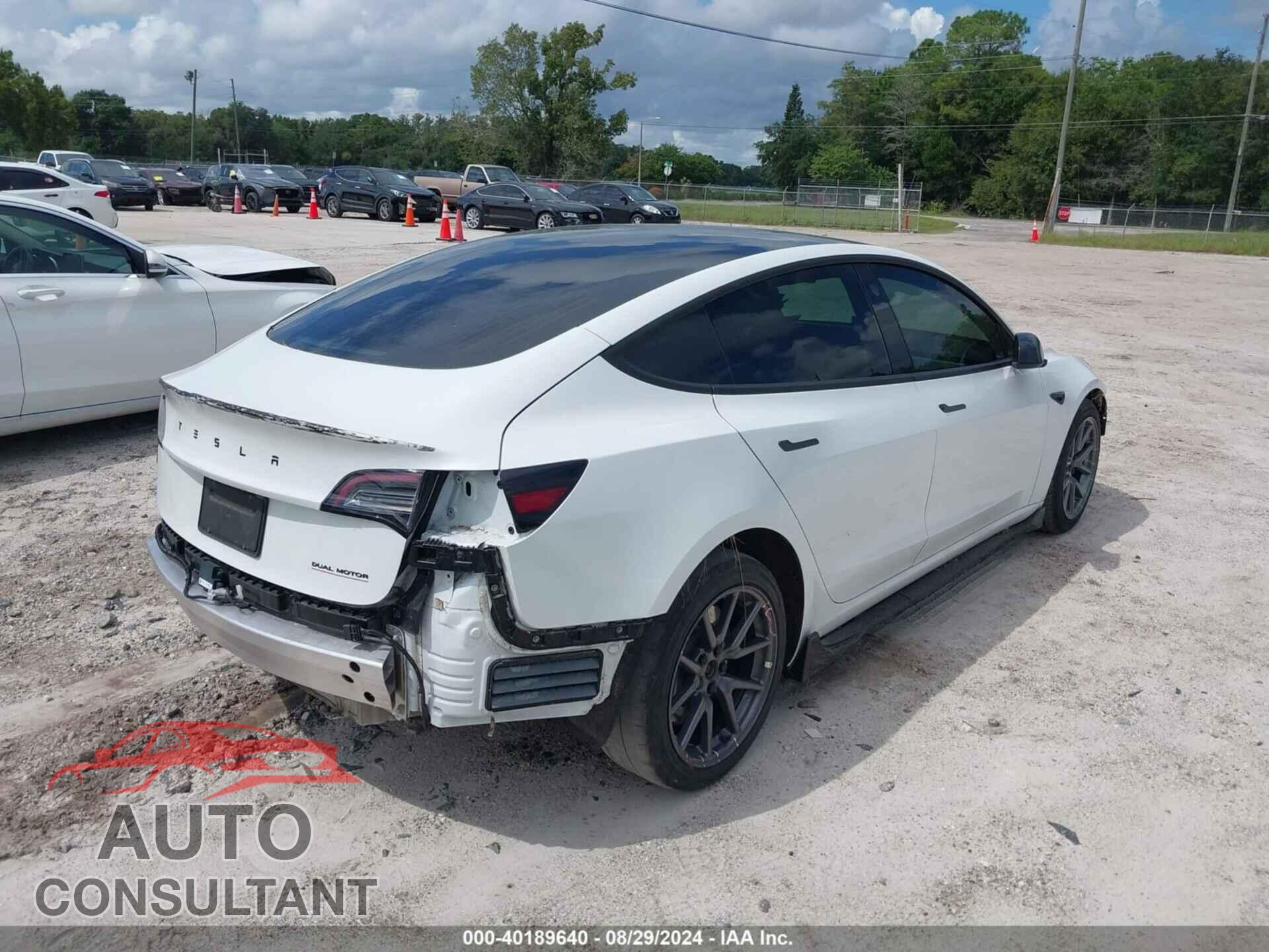 TESLA MODEL 3 2019 - 5YJ3E1EB2KF433273