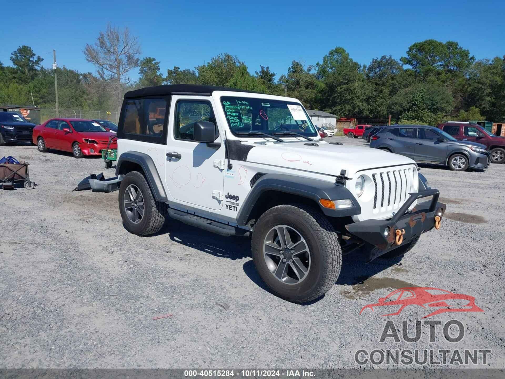 JEEP WRANGLER 2019 - 1C4GJXAG2KW501617