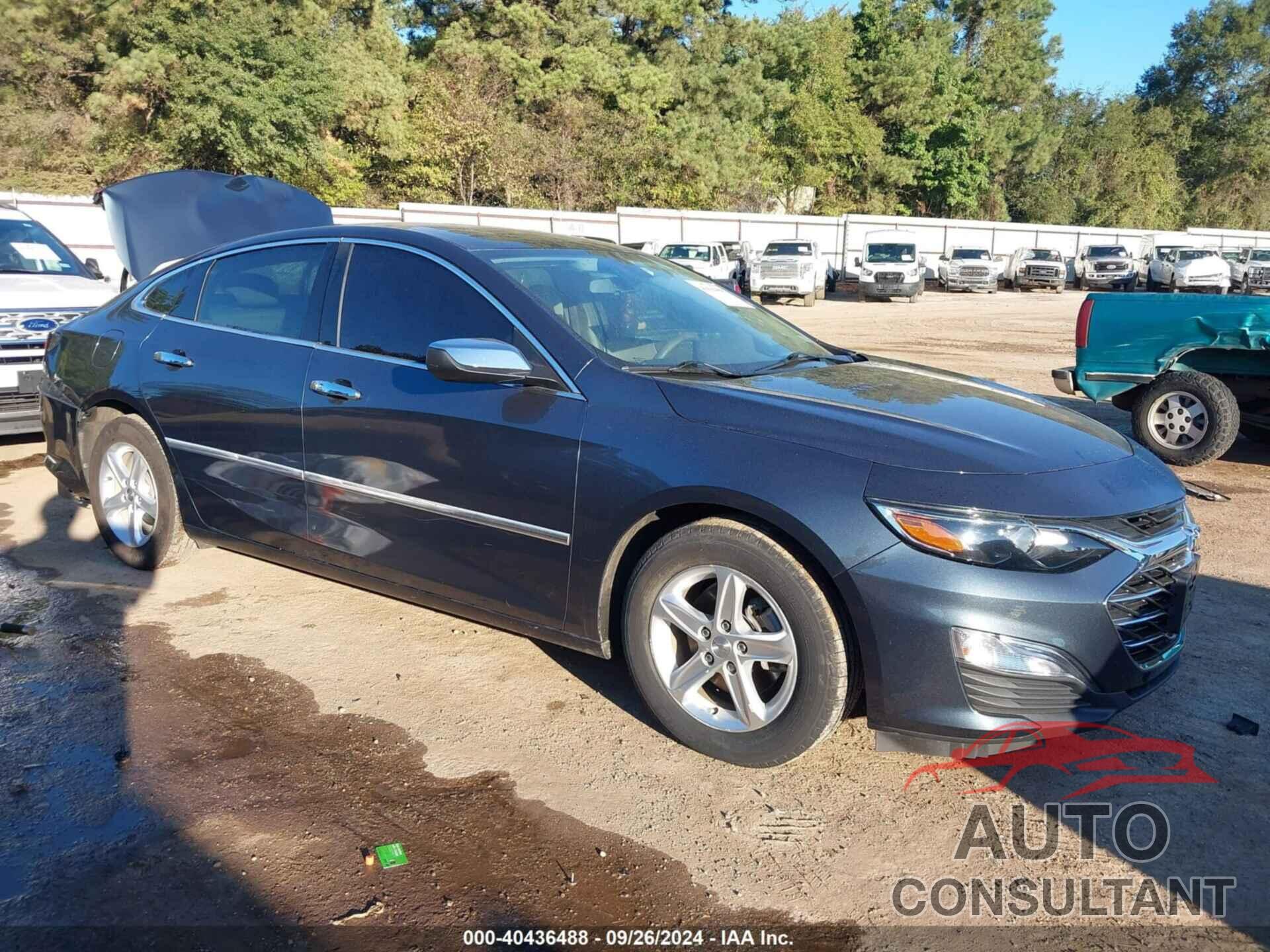CHEVROLET MALIBU 2019 - 1G1ZB5ST9KF172106