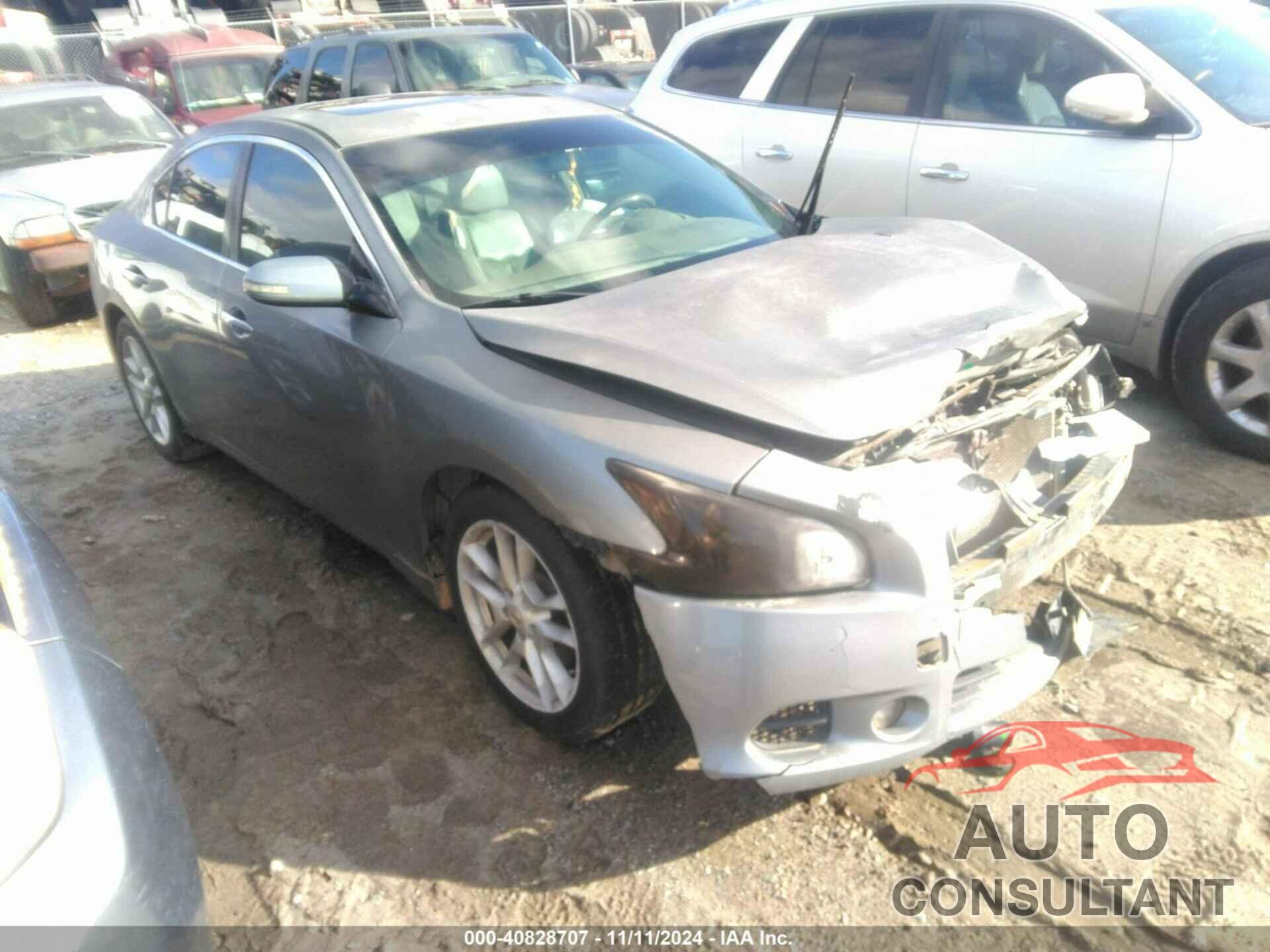 NISSAN MAXIMA 2009 - 1N4AA51E59C848062