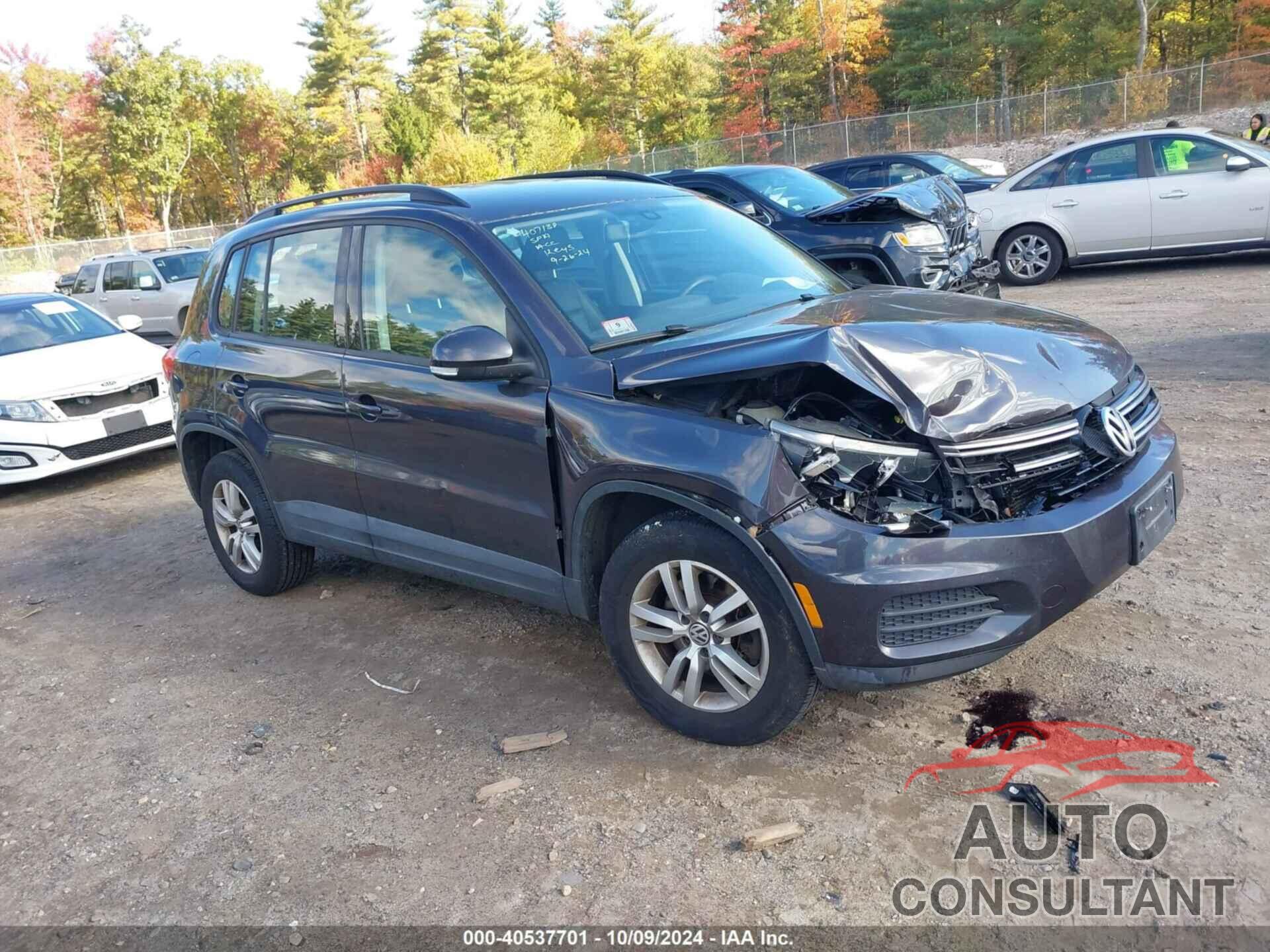 VOLKSWAGEN TIGUAN 2016 - WVGBV7AXXGW523317