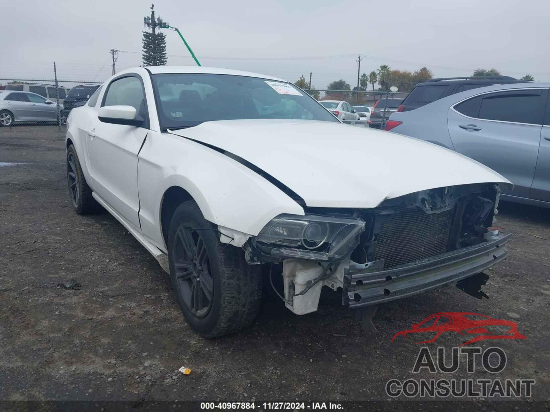 FORD MUSTANG 2013 - 1ZVBP8AMXD5233829