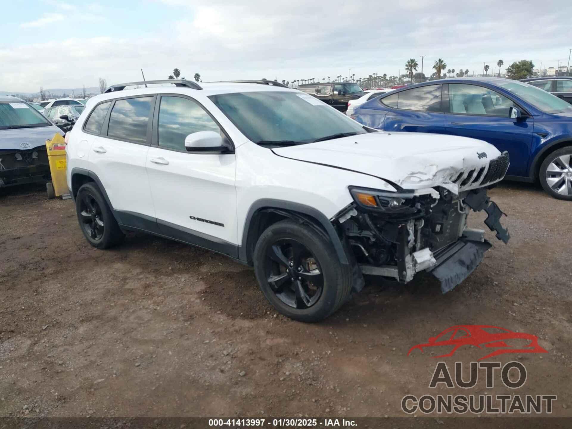 JEEP CHEROKEE 2019 - 1C4PJMLB9KD453979