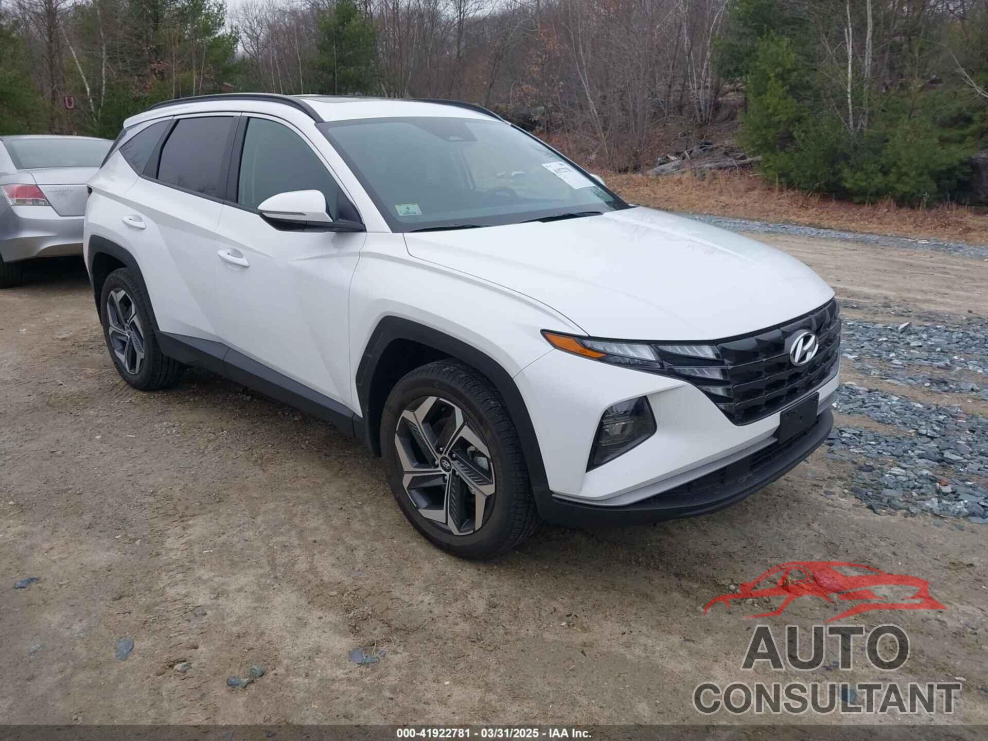 HYUNDAI TUCSON 2024 - 5NMJFCDE2RH381695