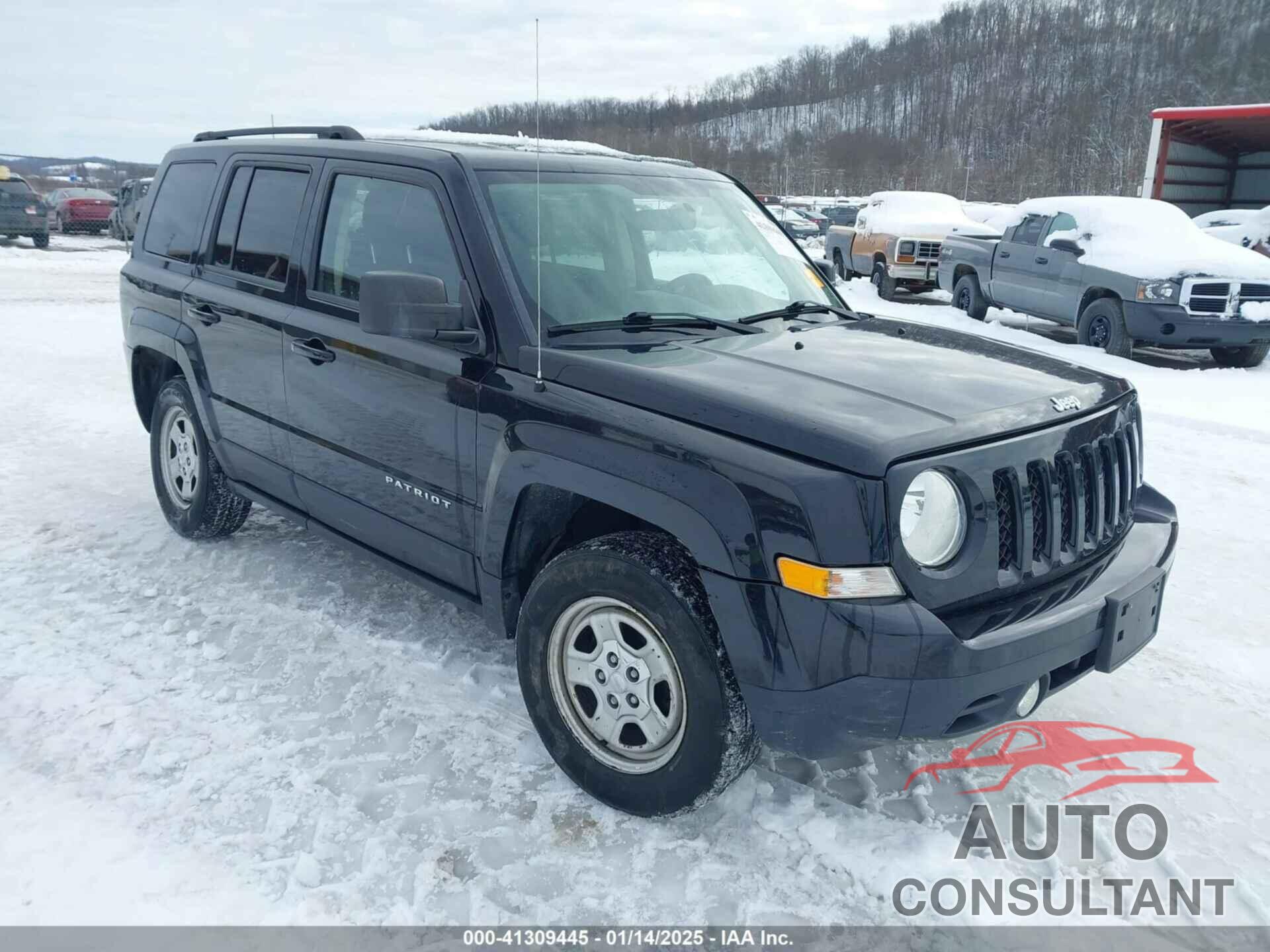 JEEP PATRIOT 2015 - 1C4NJRBB9FD283957