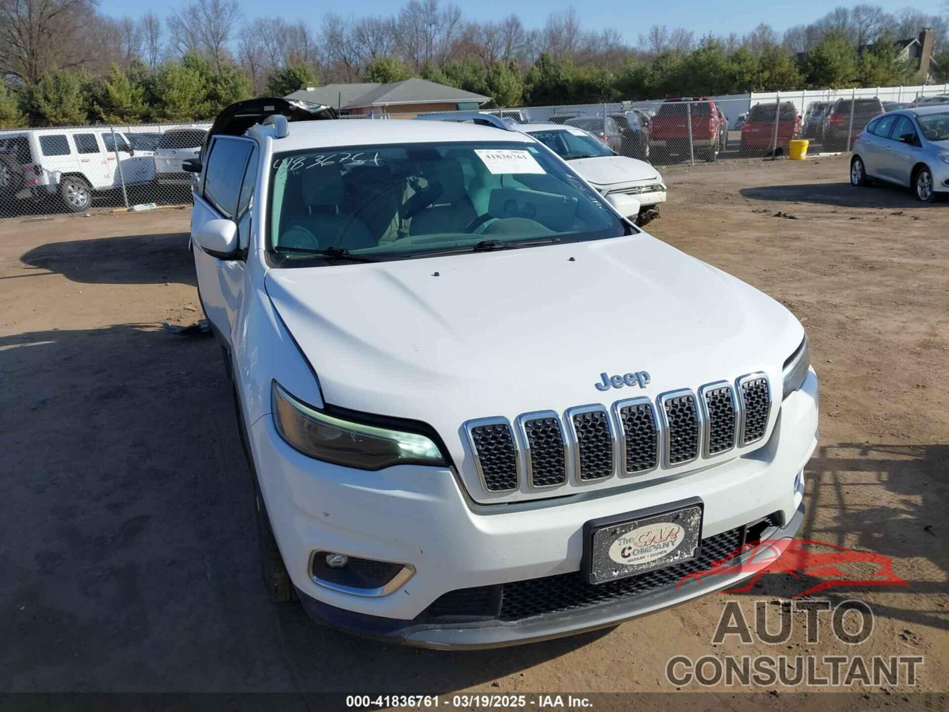 JEEP CHEROKEE 2019 - 1C4PJLDB4KD172228