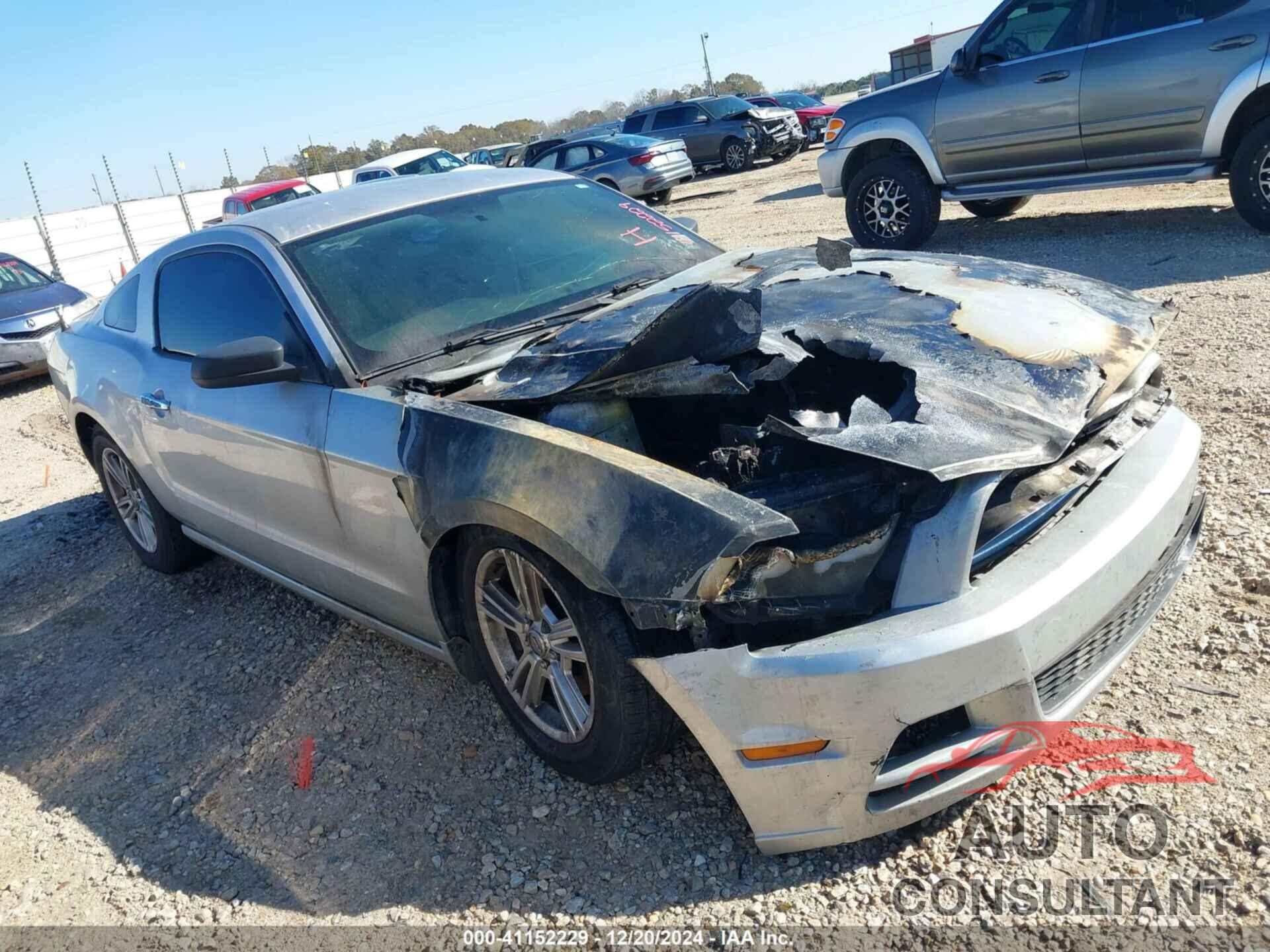 FORD MUSTANG 2014 - 1ZVBP8AM1E5236037