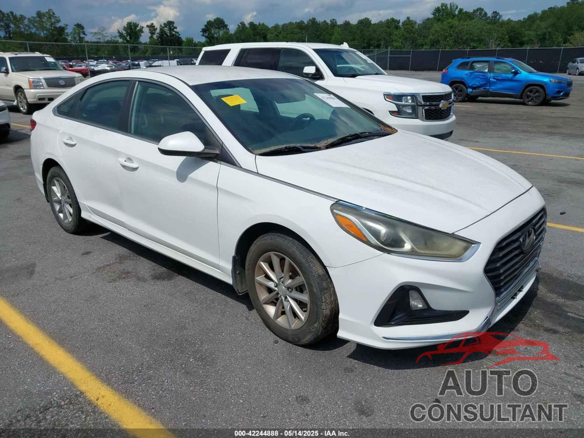 HYUNDAI SONATA 2019 - 5NPE24AF2KH740200