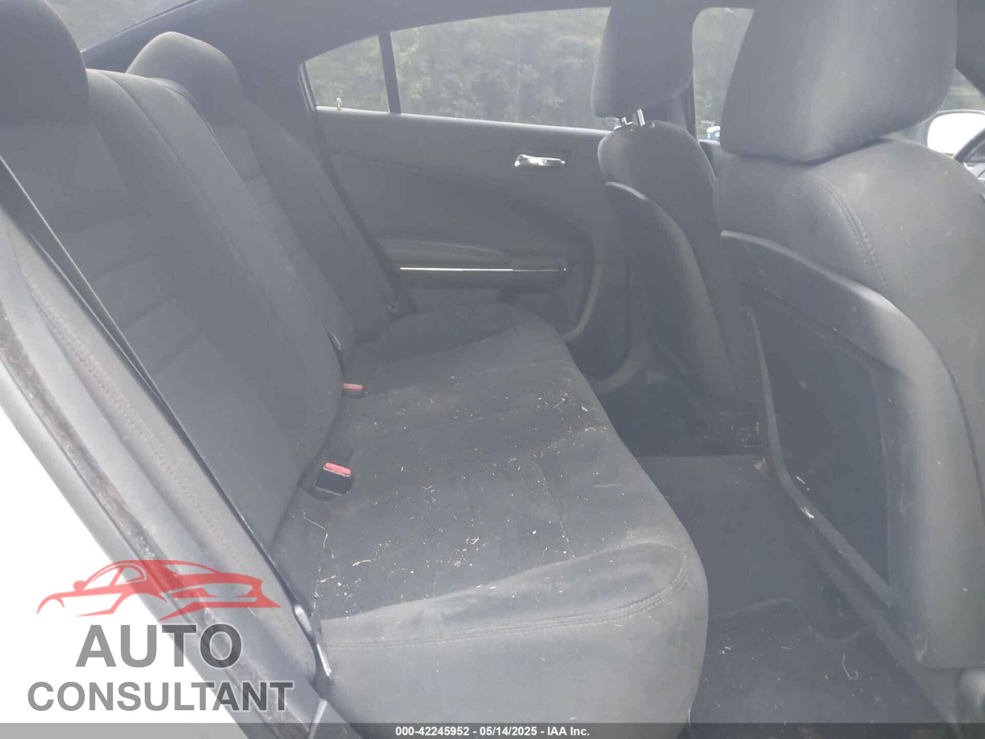 DODGE CHARGER 2014 - 2C3CDXAT2EH190801
