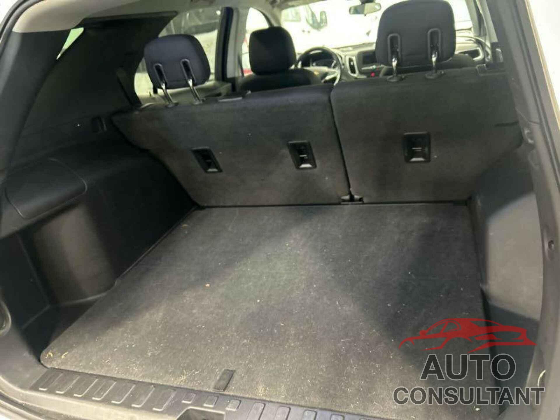 CHEVROLET EQUINOX 2019 - 2GNAXJEV8K6220370