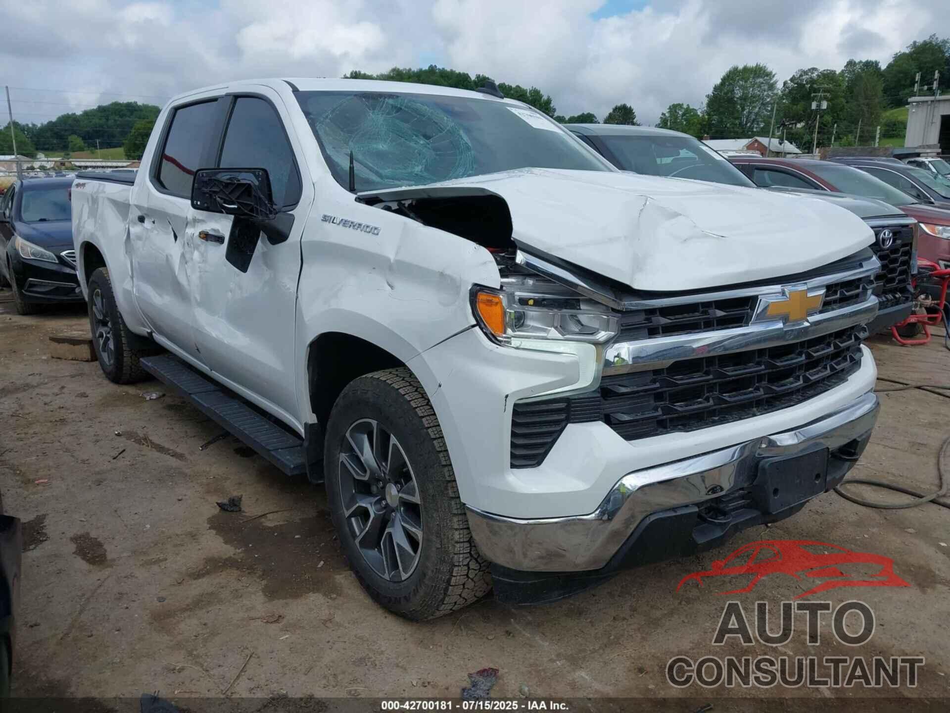 CHEVROLET SILVERADO 1500 2024 - 1GCPDDEK3RZ139990