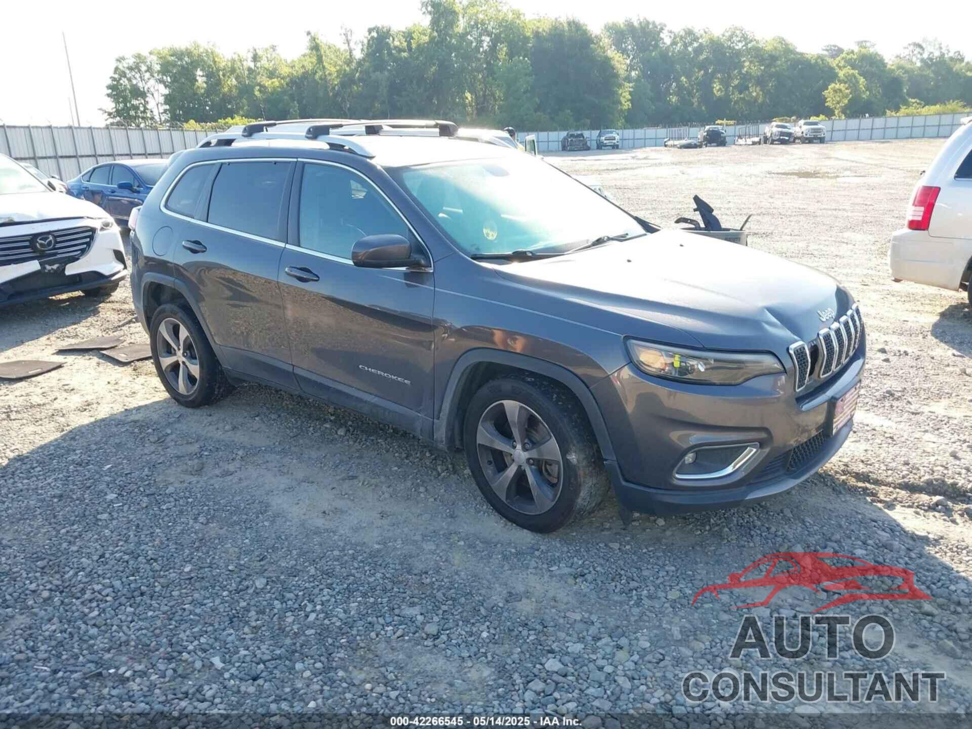 JEEP CHEROKEE 2019 - 1C4PJLDB8KD136168