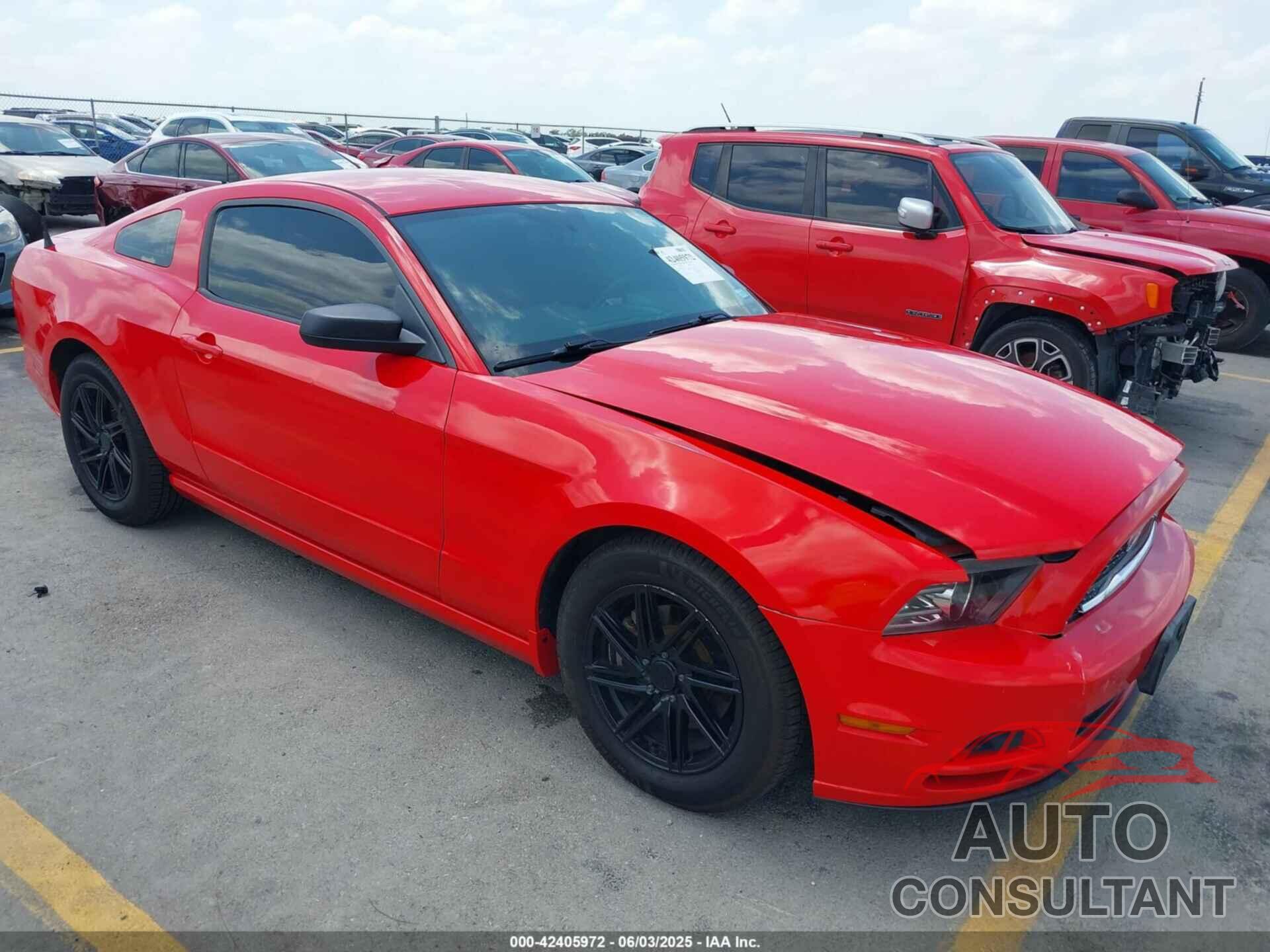 FORD MUSTANG 2014 - 1ZVBP8AMXE5309700