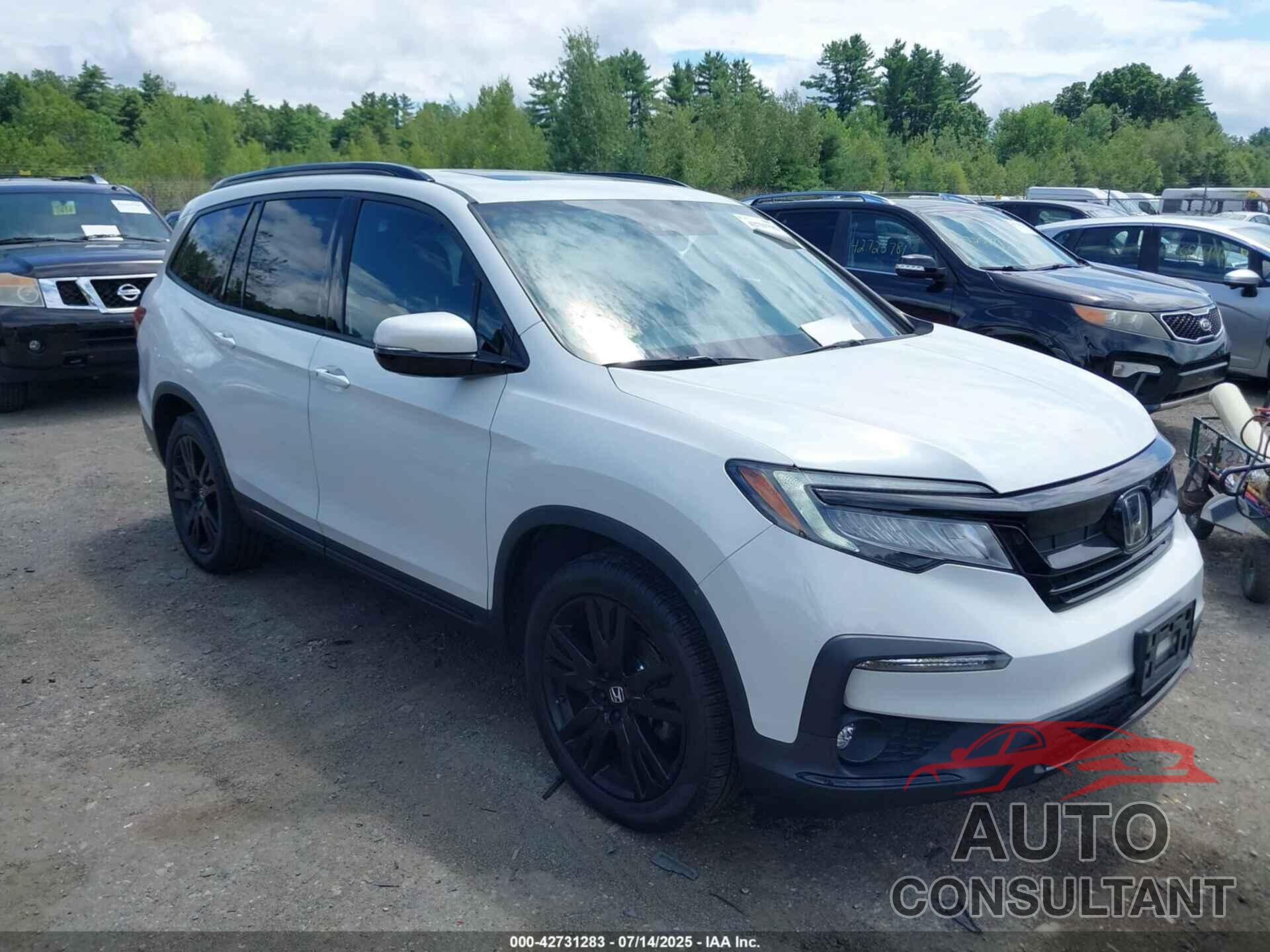 HONDA PILOT 2021 - 5FNYF6H74MB061770