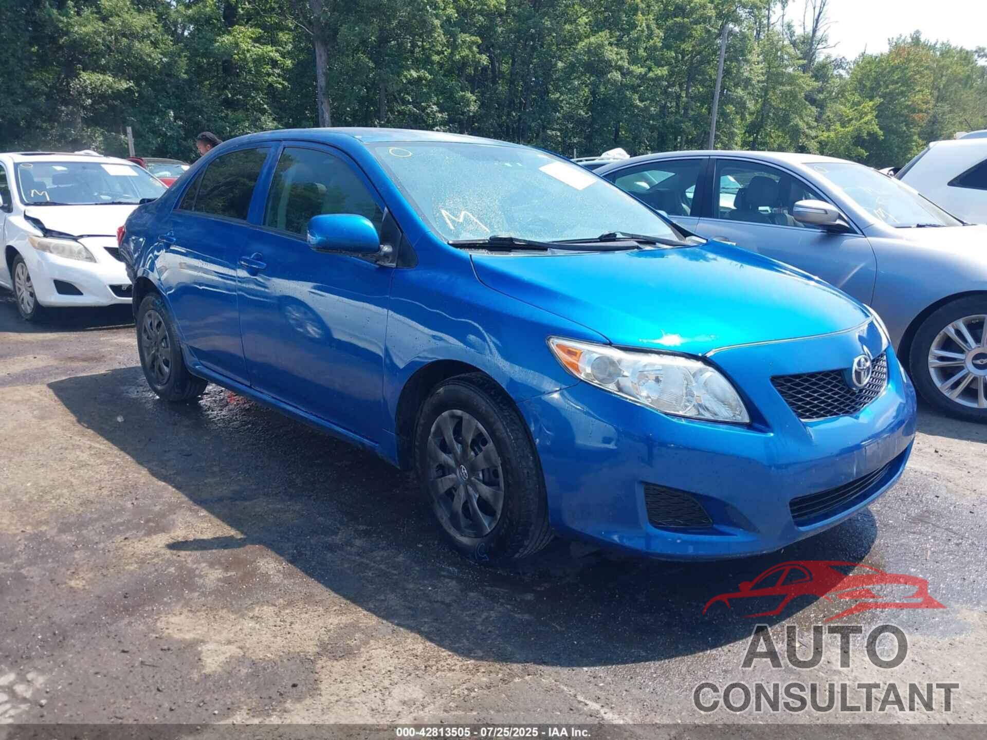 TOYOTA COROLLA 2010 - 2T1BU4EE5AC289022