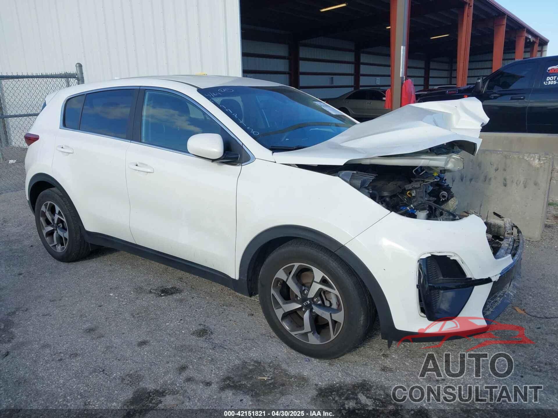 KIA SPORTAGE 2020 - KNDPM3AC8L7781150