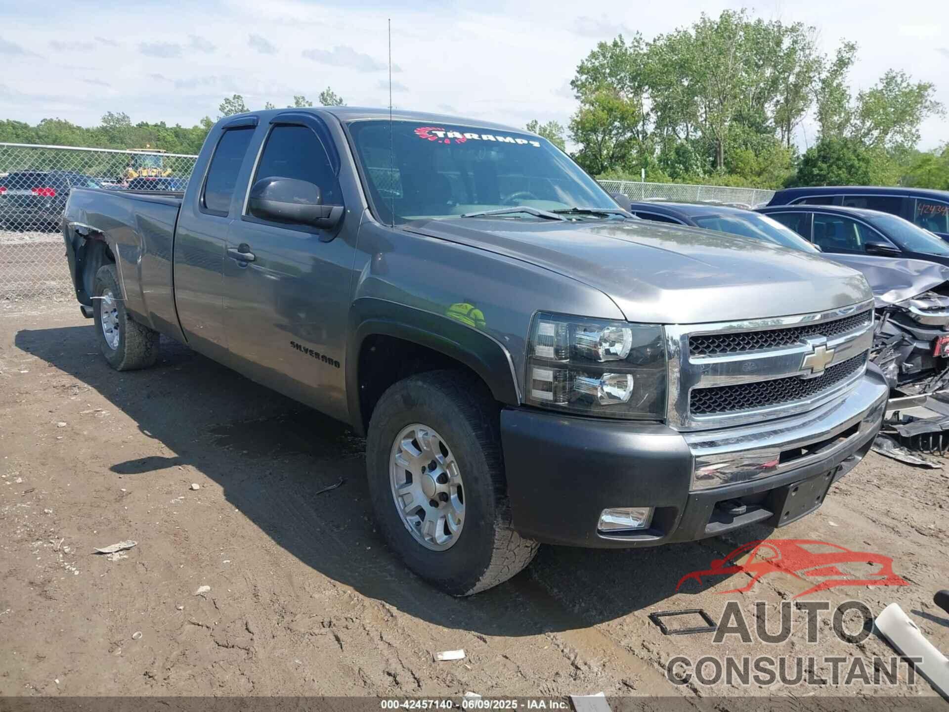 CHEVROLET SILVERADO 1500 2009 - 1GCEK19069E140787