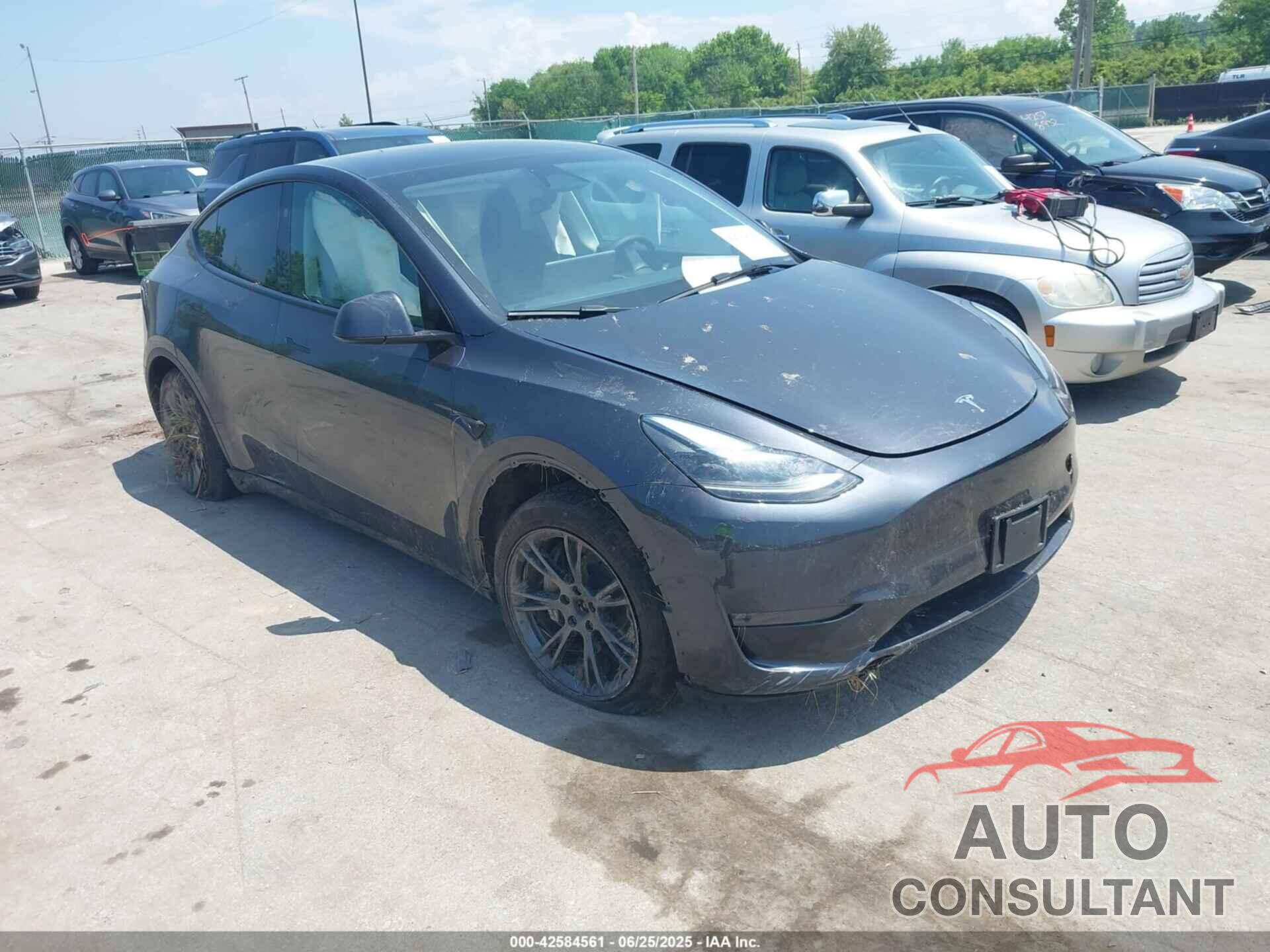 TESLA MODEL Y 2025 - 7SAYGDEE1SF303533