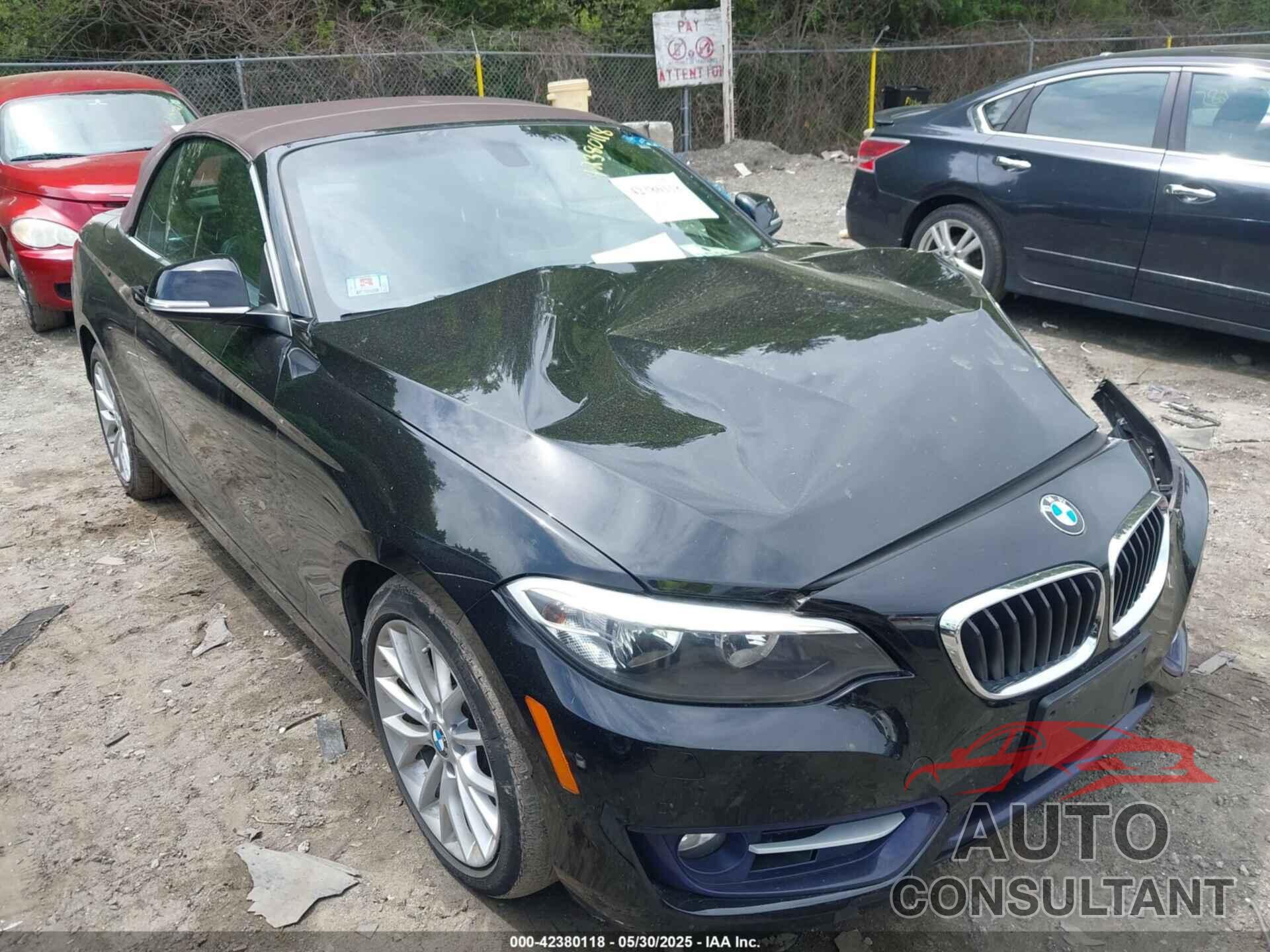 BMW 228I 2016 - WBA1L9C58GV767841