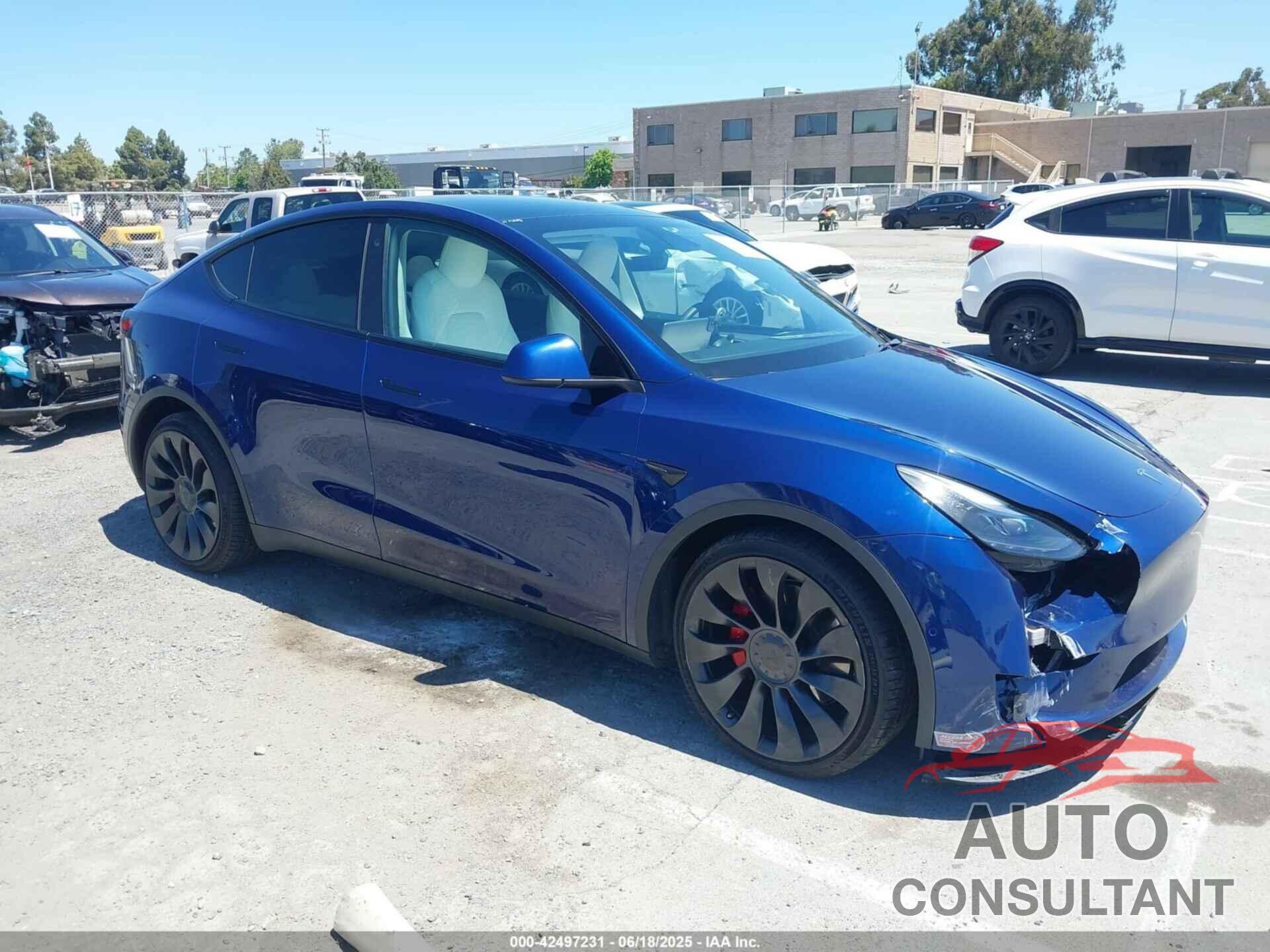 TESLA MODEL Y 2022 - 7SAYGDEF4NF562367