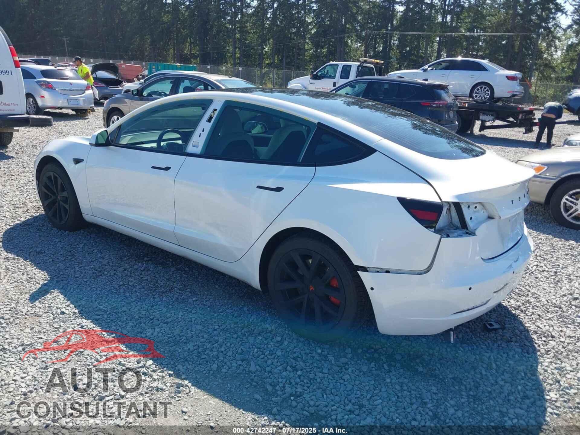 TESLA MODEL 3 2019 - 5YJ3E1EA8KF417778