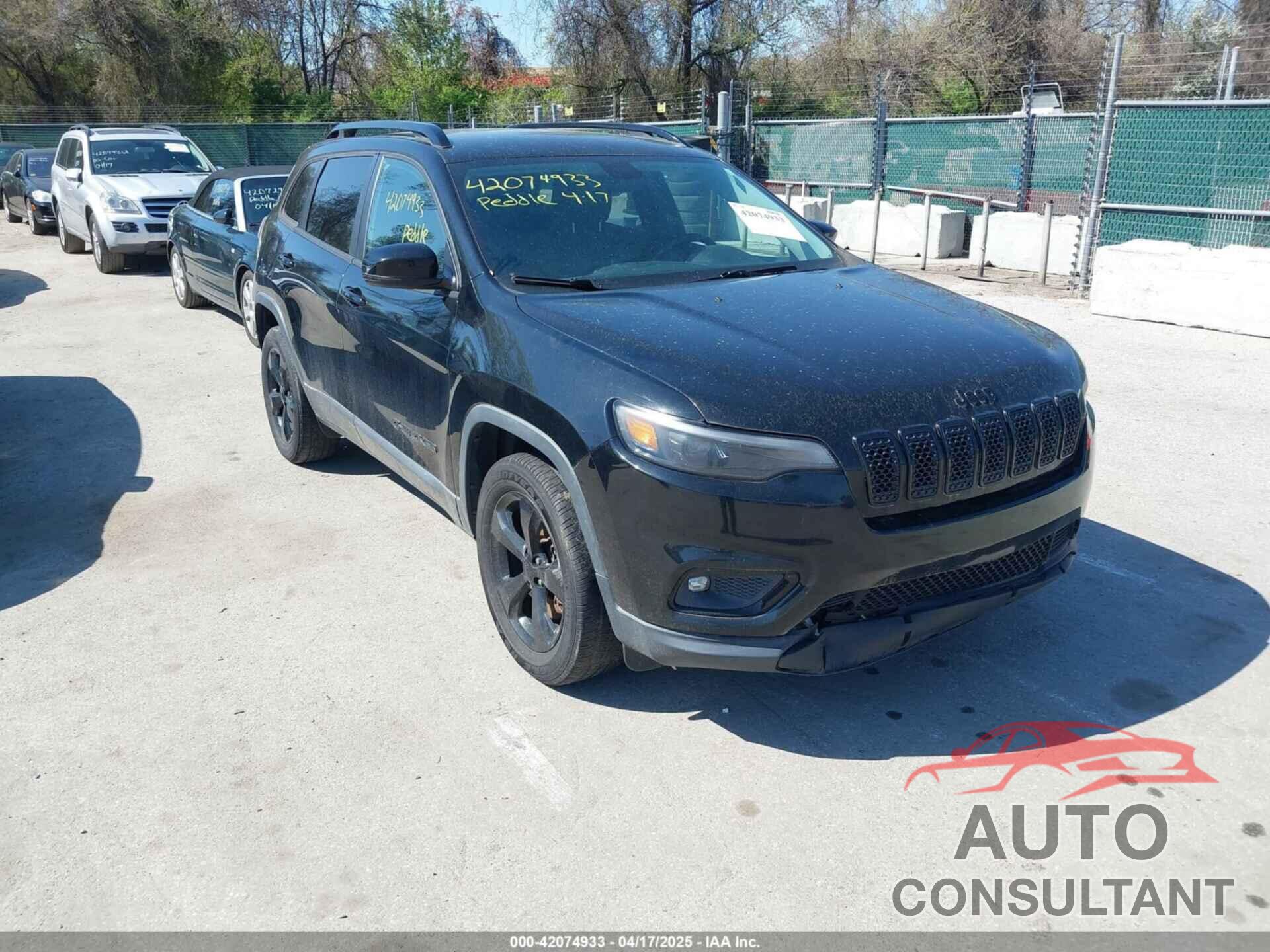 JEEP CHEROKEE 2019 - 1C4PJMLB3KD321381